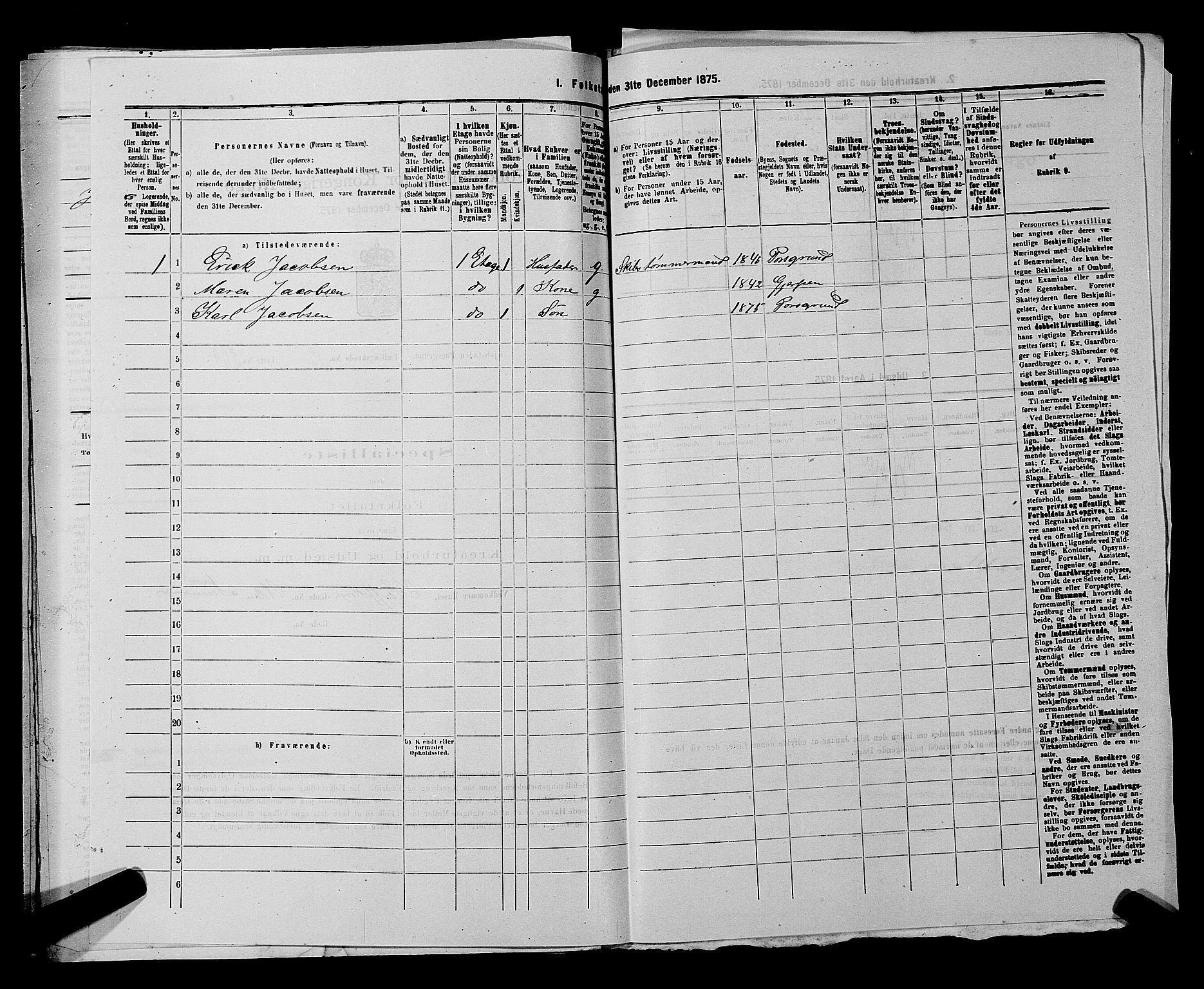 SAKO, 1875 census for 0805P Porsgrunn, 1875, p. 617