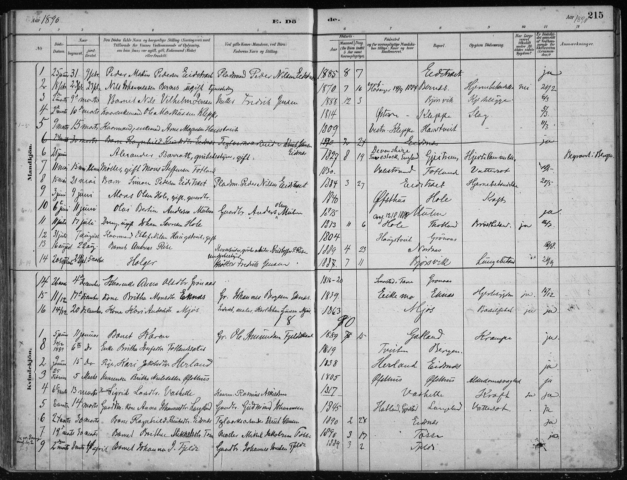 Hosanger sokneprestembete, AV/SAB-A-75801/H/Haa: Parish register (official) no. B  1, 1880-1896, p. 215