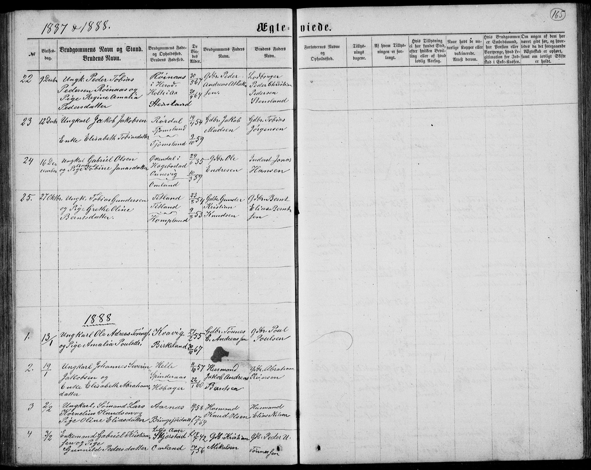 Lyngdal sokneprestkontor, AV/SAK-1111-0029/F/Fb/Fbc/L0004: Parish register (copy) no. B 4, 1878-1896, p. 165