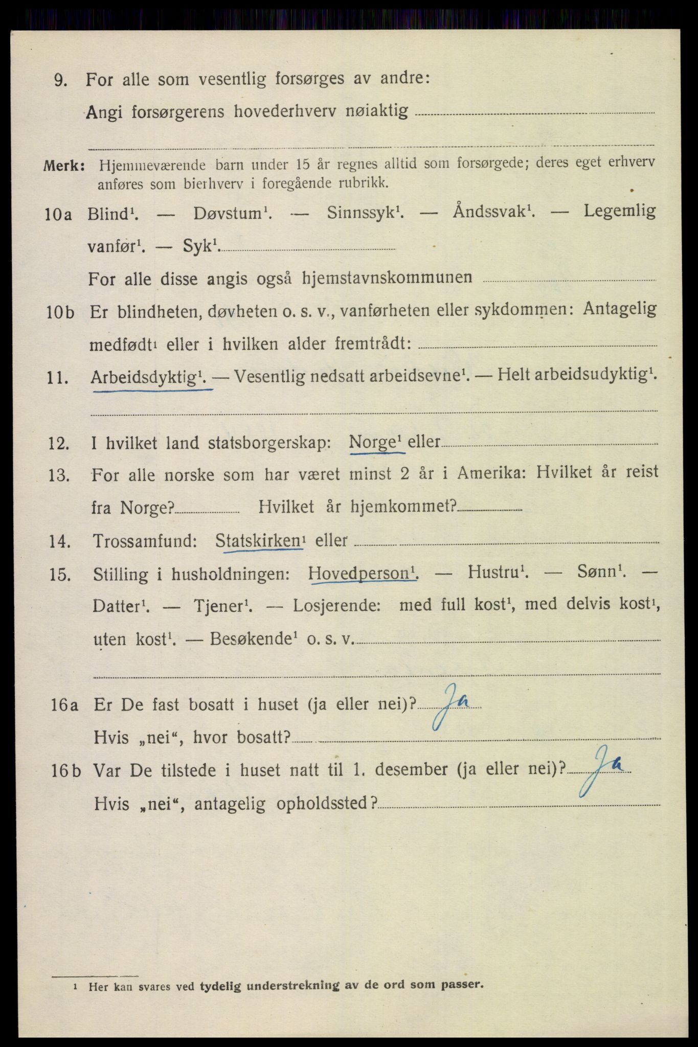 SAH, 1920 census for Åsnes, 1920, p. 6951