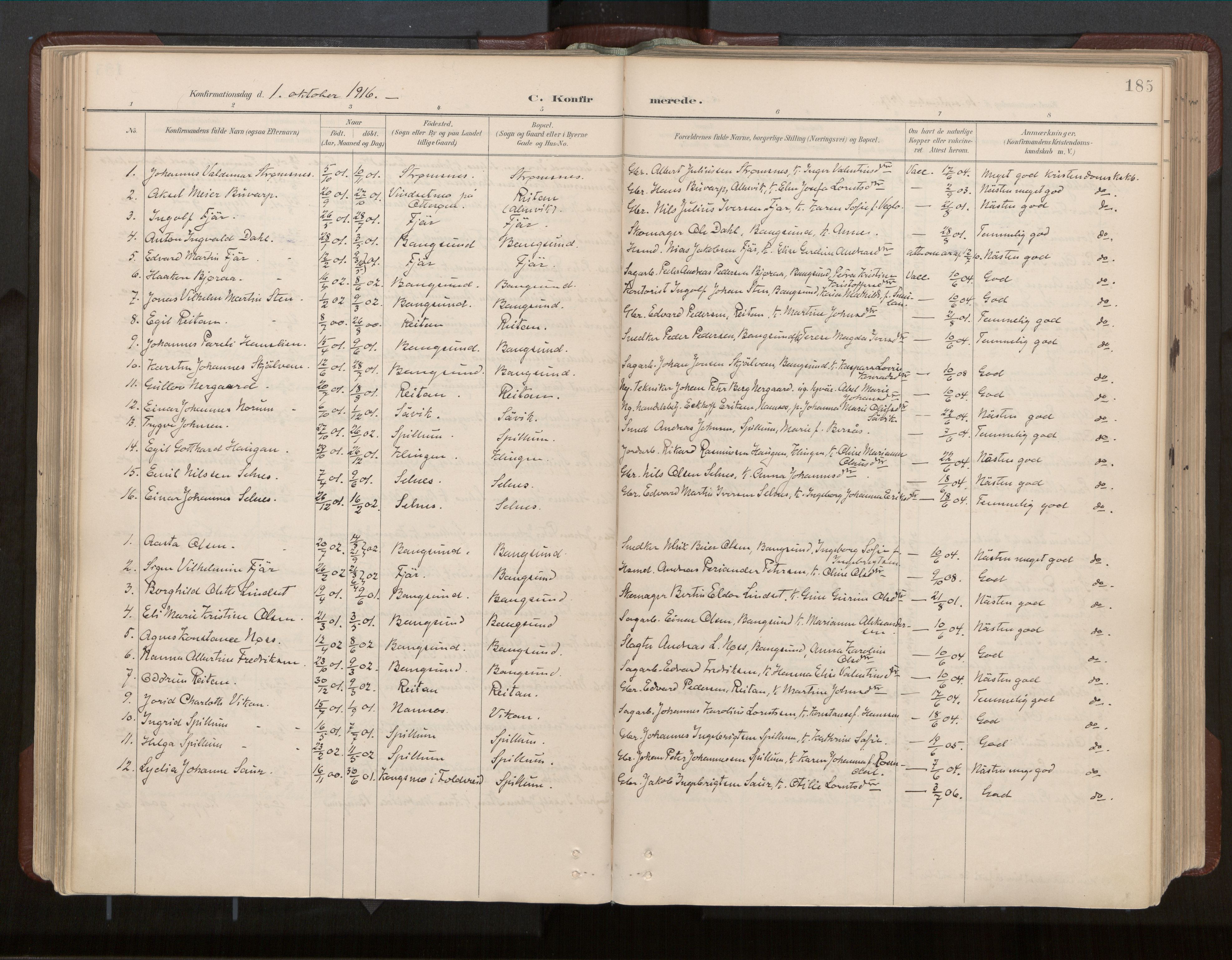 Ministerialprotokoller, klokkerbøker og fødselsregistre - Nord-Trøndelag, AV/SAT-A-1458/770/L0589: Parish register (official) no. 770A03, 1887-1929, p. 185