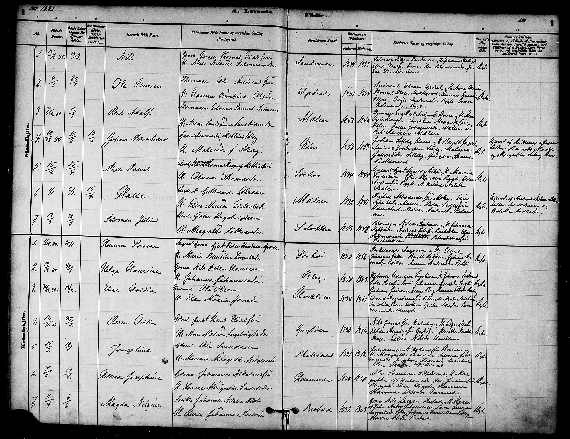 Ministerialprotokoller, klokkerbøker og fødselsregistre - Nord-Trøndelag, AV/SAT-A-1458/766/L0563: Parish register (official) no. 767A01, 1881-1899, p. 1