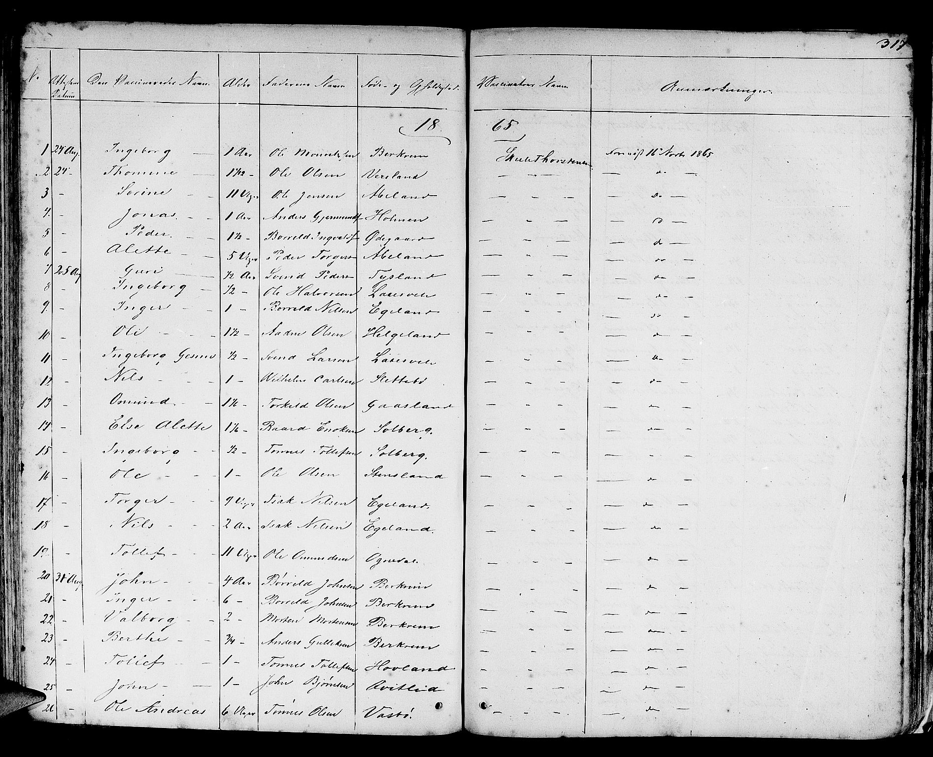 Helleland sokneprestkontor, SAST/A-101810: Parish register (copy) no. B 3, 1847-1886, p. 317