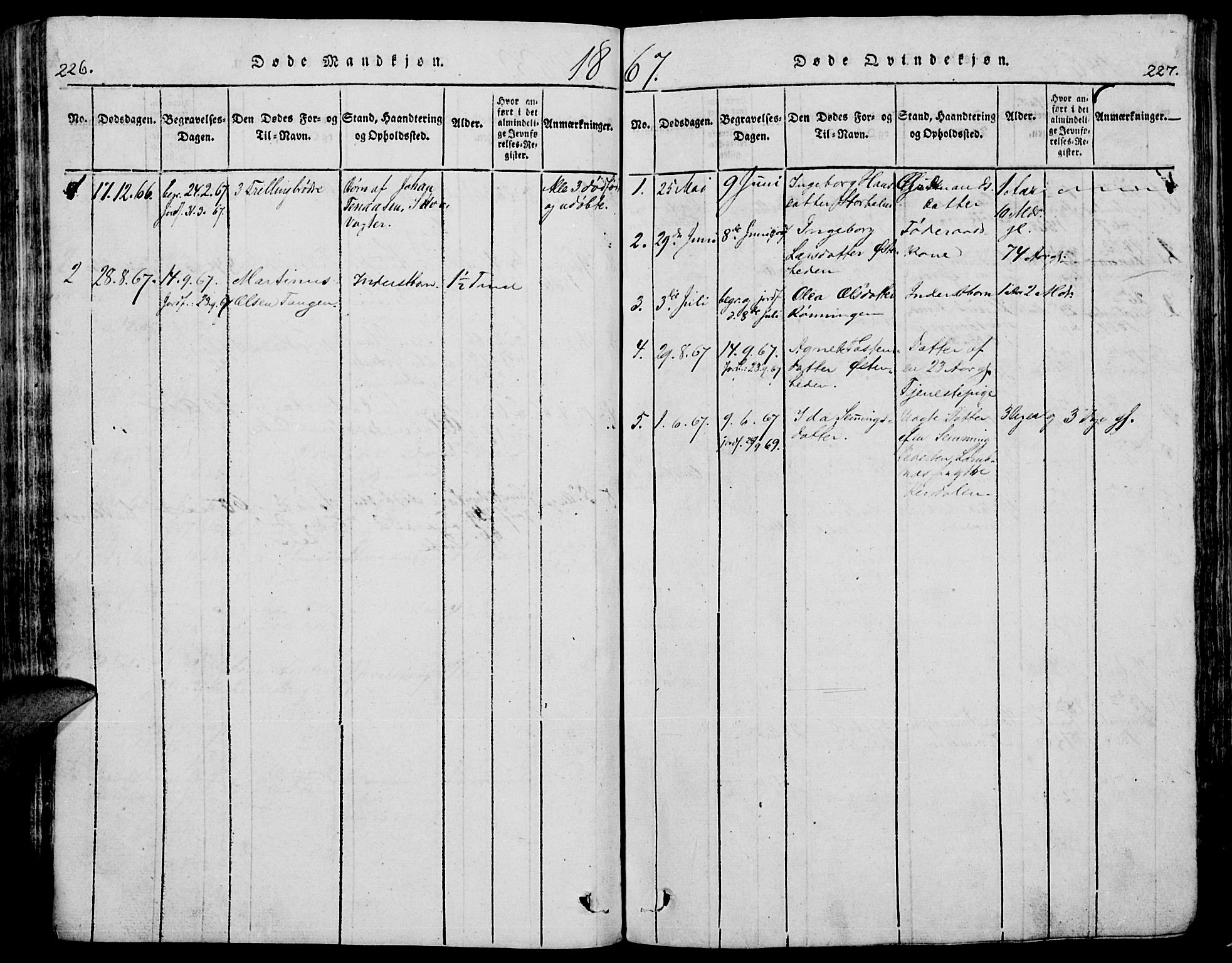 Trysil prestekontor, AV/SAH-PREST-046/H/Ha/Hab/L0005: Parish register (copy) no. 5, 1814-1877, p. 226-227