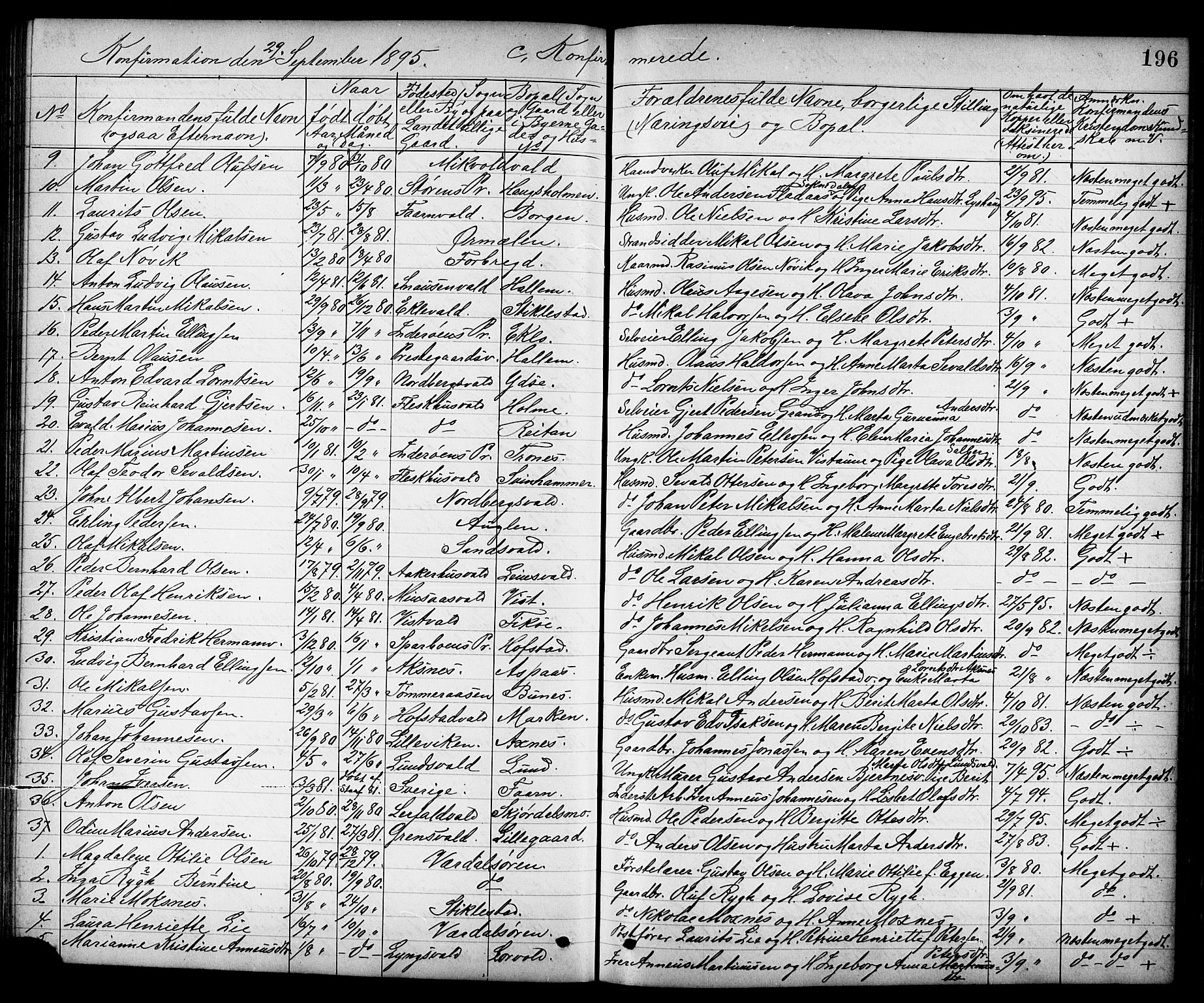 Ministerialprotokoller, klokkerbøker og fødselsregistre - Nord-Trøndelag, SAT/A-1458/723/L0257: Parish register (copy) no. 723C05, 1890-1907, p. 196
