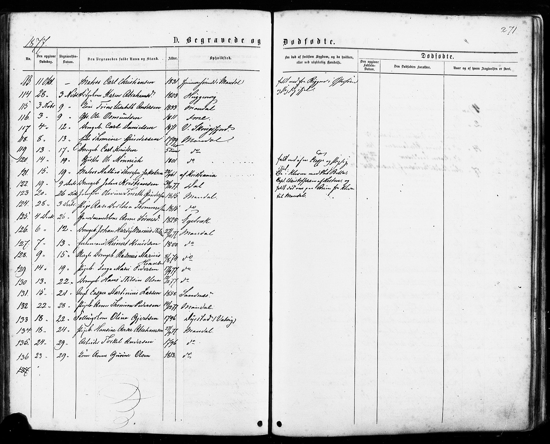 Mandal sokneprestkontor, SAK/1111-0030/F/Fa/Faa/L0015: Parish register (official) no. A 15, 1873-1879, p. 271