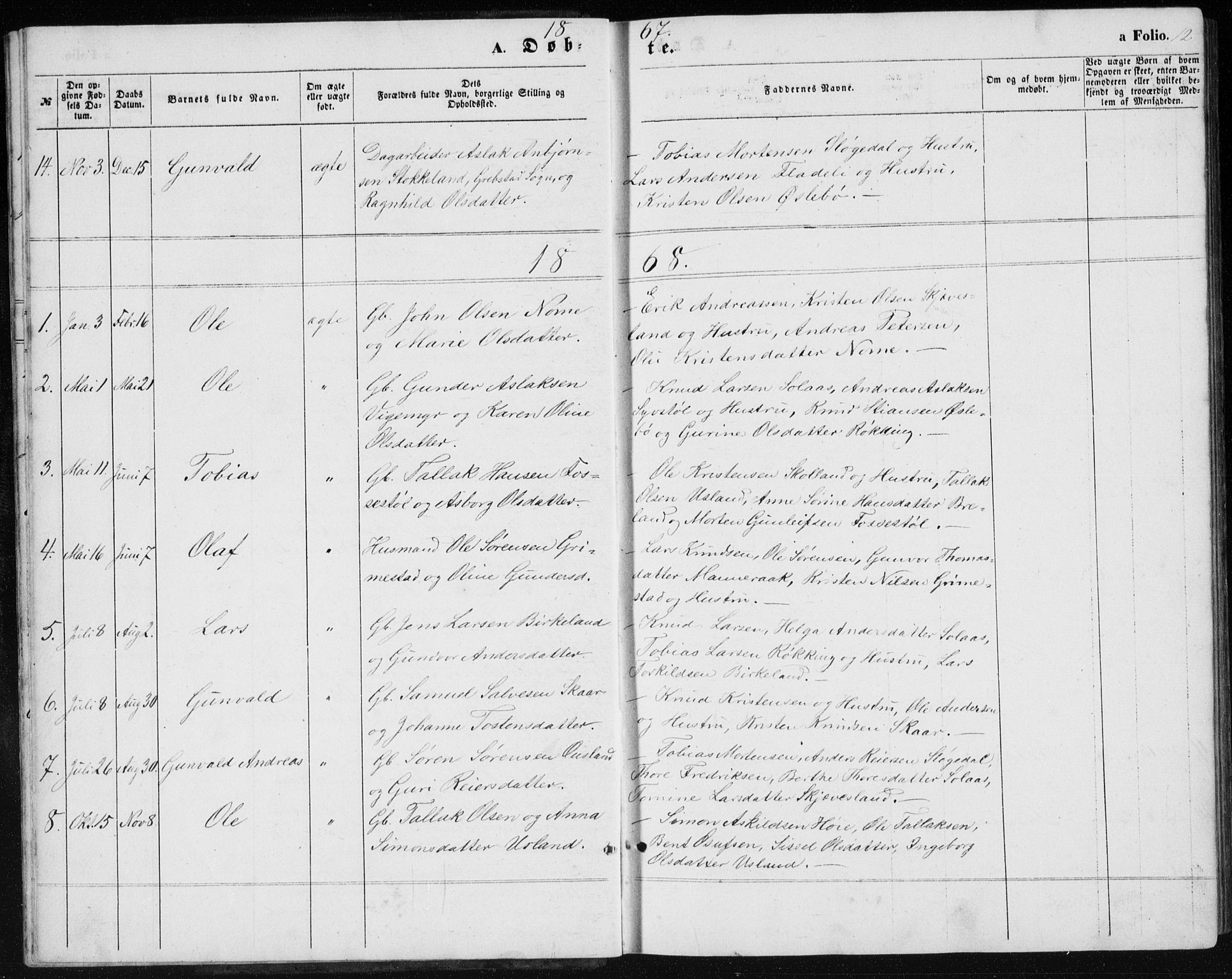 Holum sokneprestkontor, SAK/1111-0022/F/Fb/Fbc/L0002: Parish register (copy) no. B 2, 1860-1882, p. 12