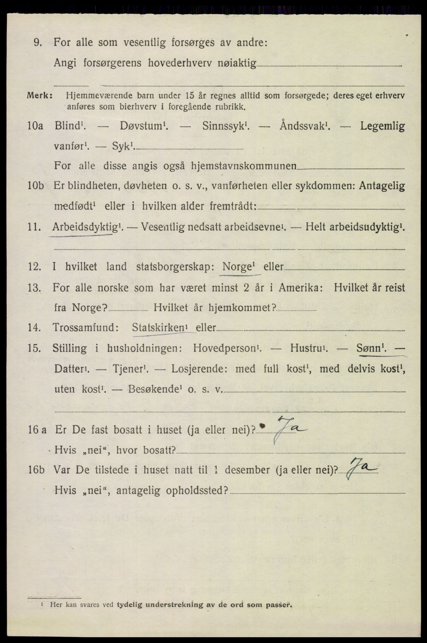 SAH, 1920 census for Vang (Hedmark), 1920, p. 18624