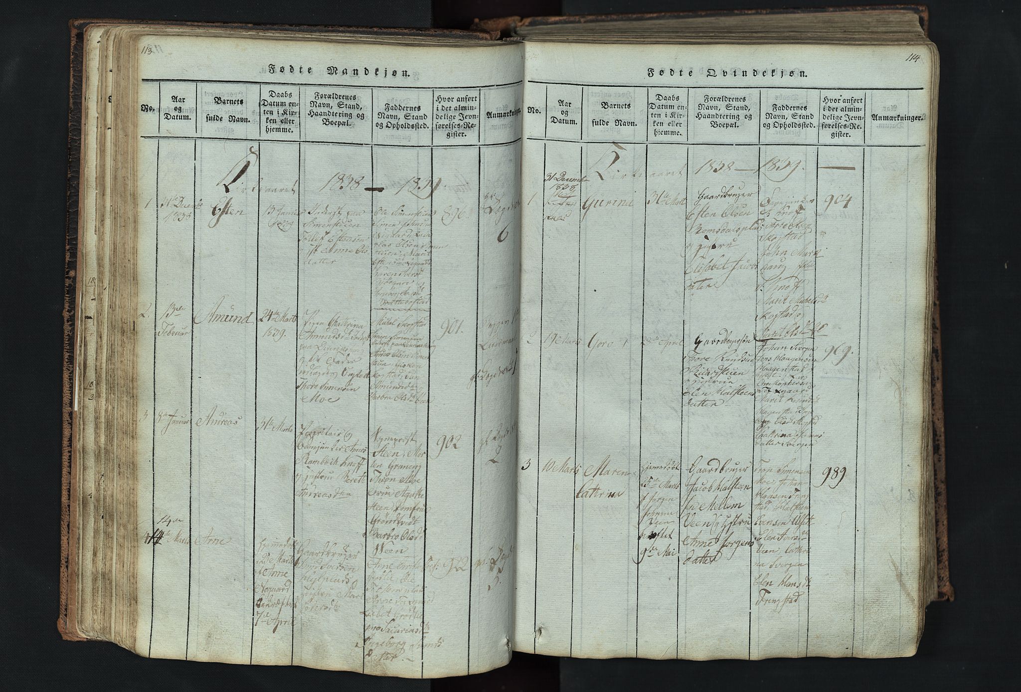 Kvikne prestekontor, SAH/PREST-064/H/Ha/Hab/L0001: Parish register (copy) no. 1, 1815-1895, p. 113-114