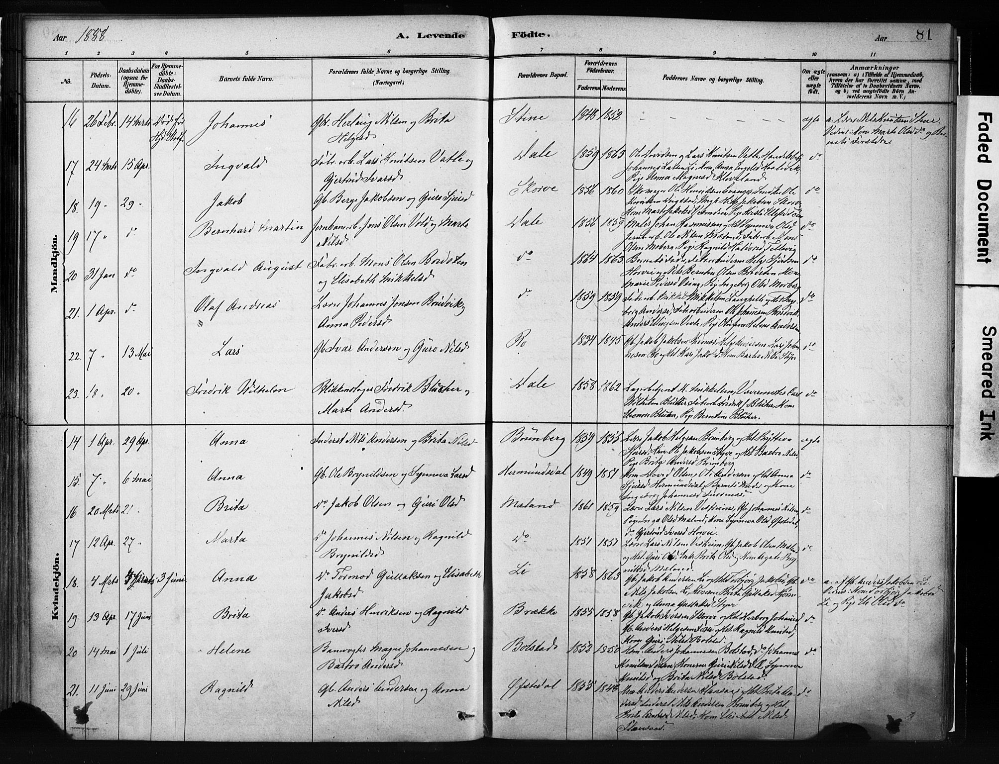 Evanger sokneprestembete, AV/SAB-A-99924: Parish register (official) no. A 1, 1877-1899, p. 81