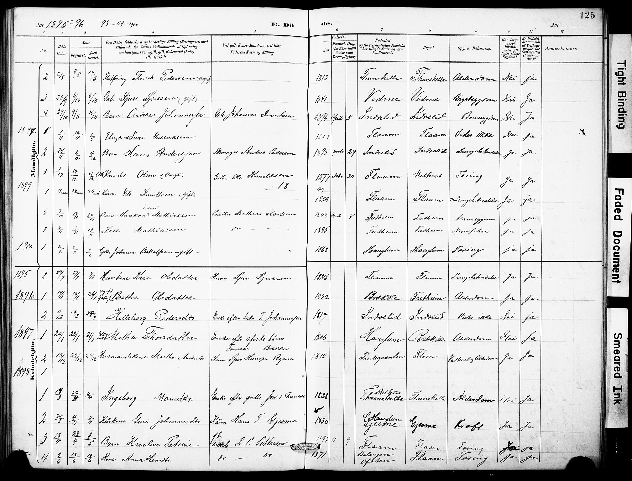 Aurland sokneprestembete, SAB/A-99937/H/Hb/Hbb/L0002: Parish register (copy) no. B 2, 1887-1929, p. 125