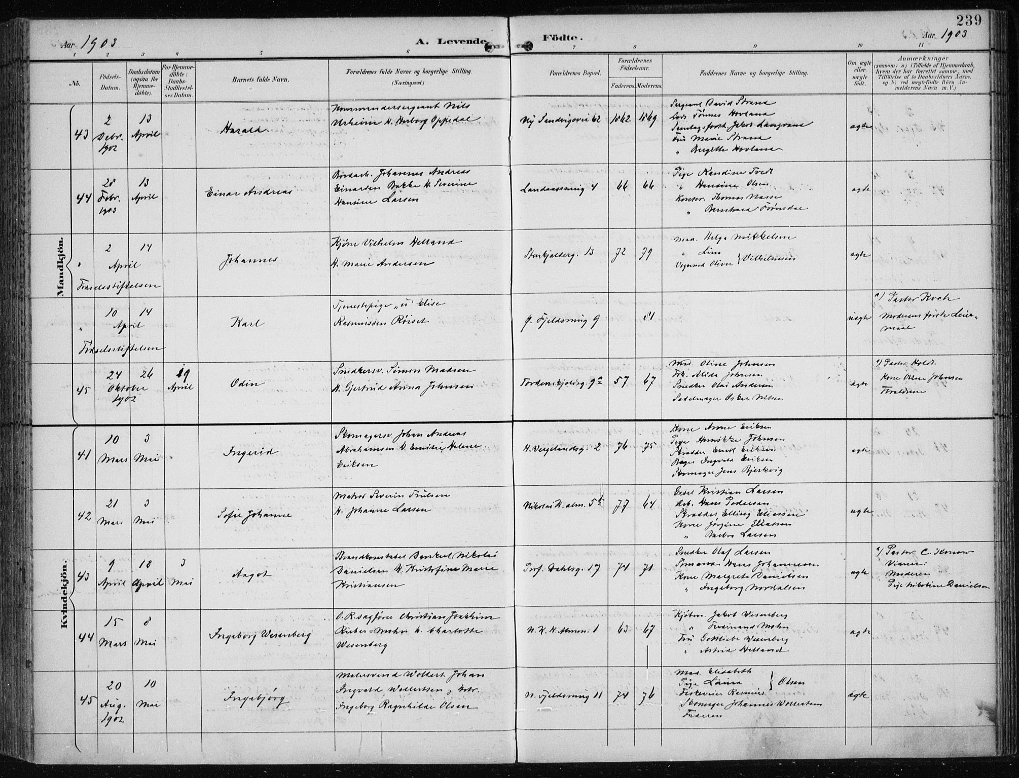 Korskirken sokneprestembete, AV/SAB-A-76101/H/Hab: Parish register (copy) no. B 10, 1896-1905, p. 239