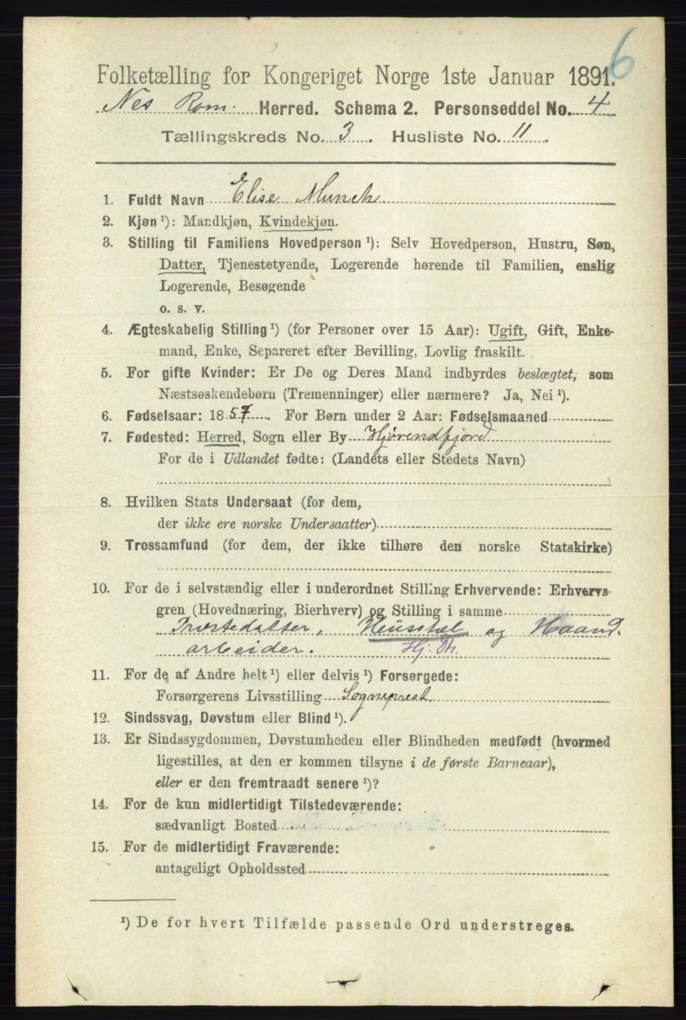 RA, 1891 census for 0236 Nes, 1891, p. 1667