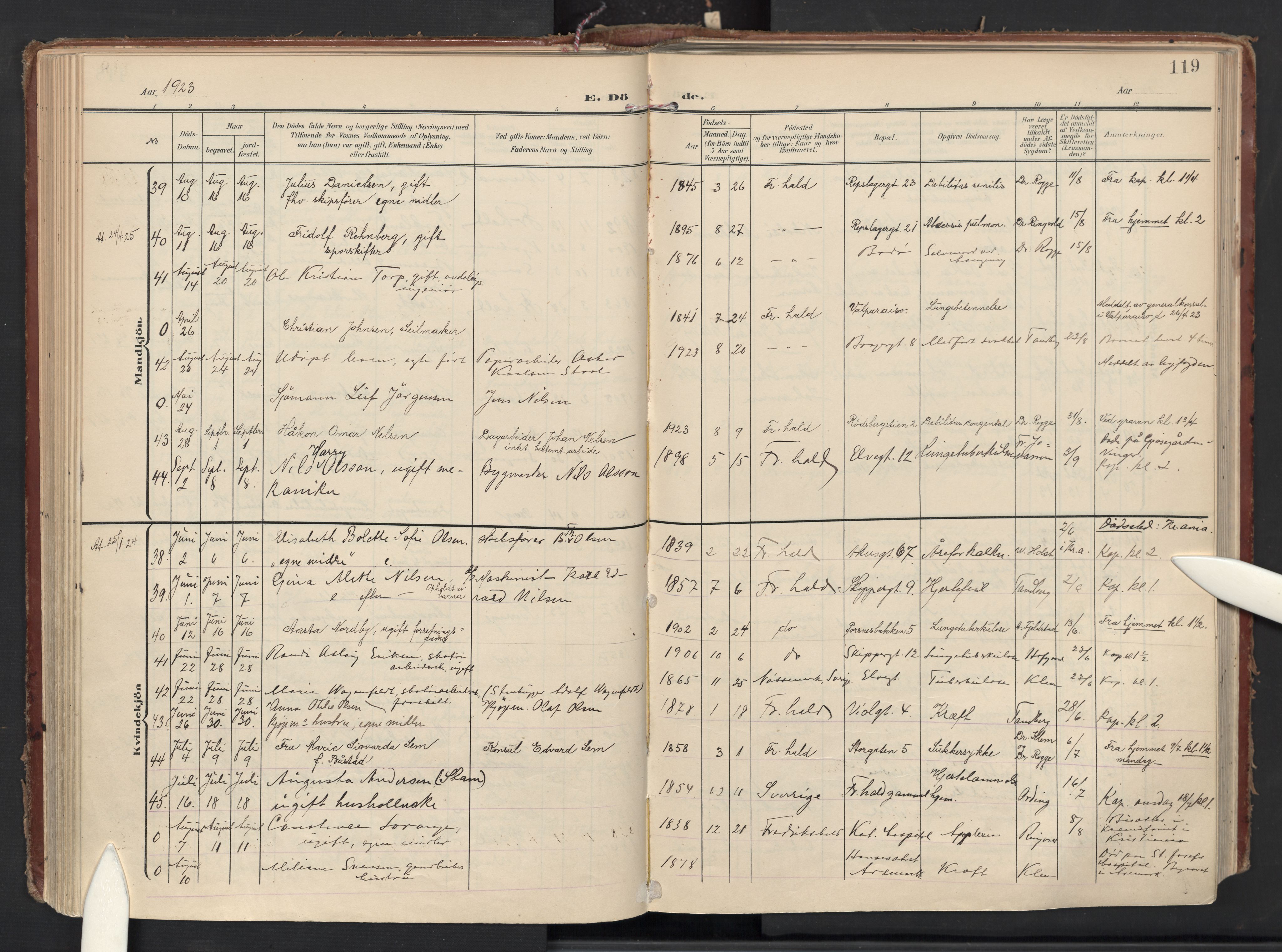 Halden prestekontor Kirkebøker, AV/SAO-A-10909/F/Fa/L0016: Parish register (official) no. I 16, 1907-1925, p. 119