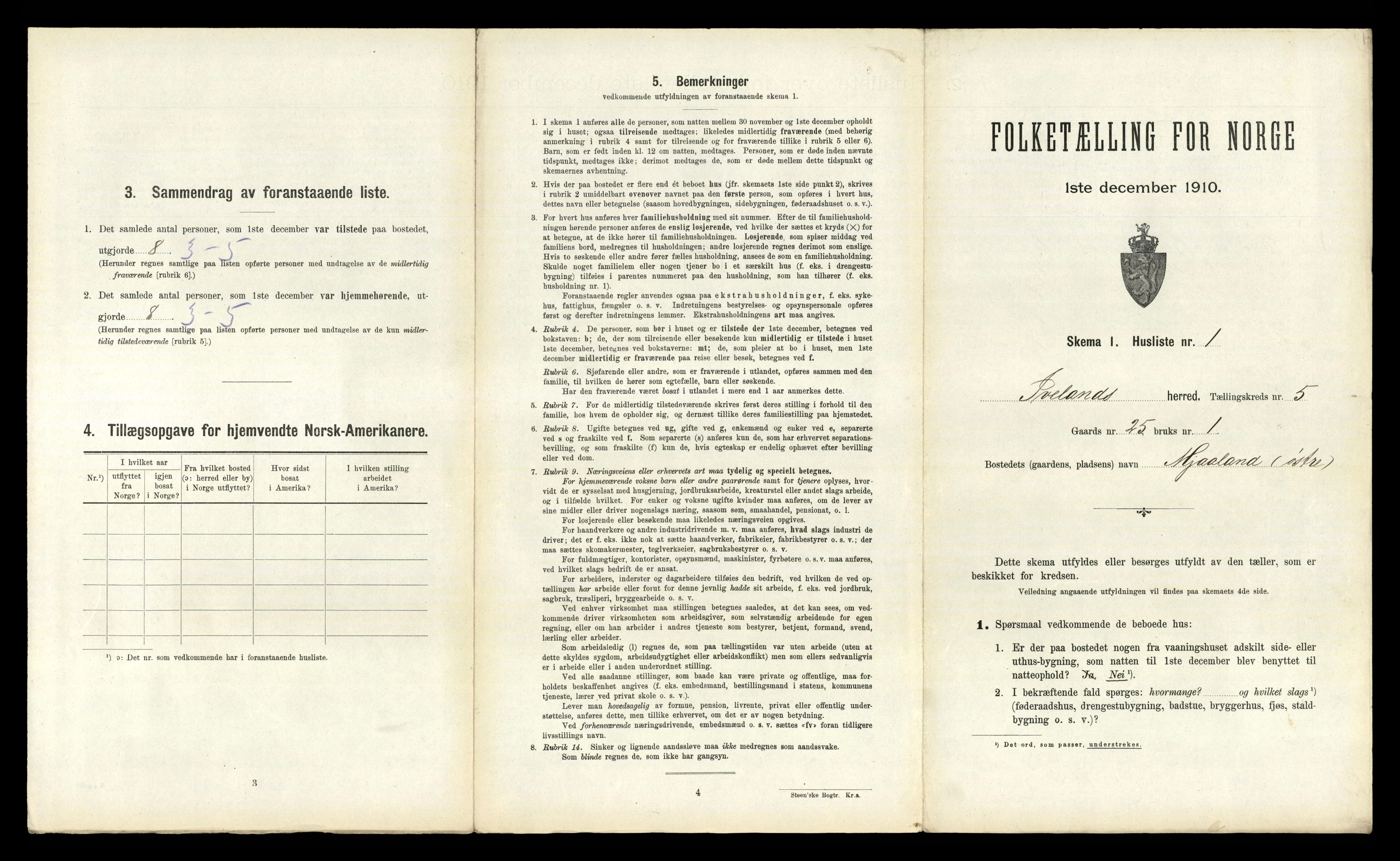 RA, 1910 census for Iveland, 1910, p. 221