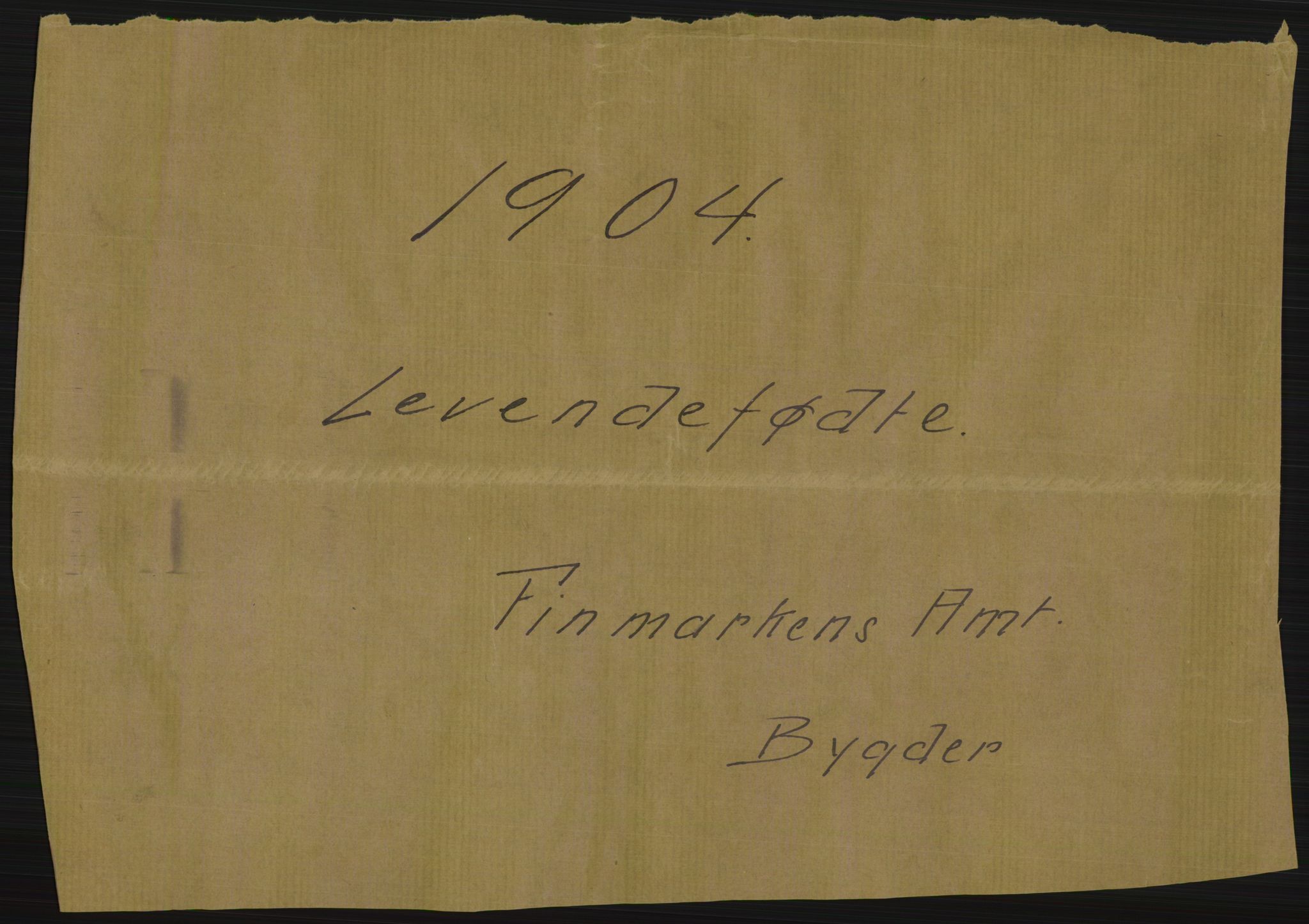 Statistisk sentralbyrå, Sosiodemografiske emner, Befolkning, RA/S-2228/D/Df/Dfa/Dfab/L0023: Finnmarkens amt: Fødte, gifte, døde, 1904, p. 1