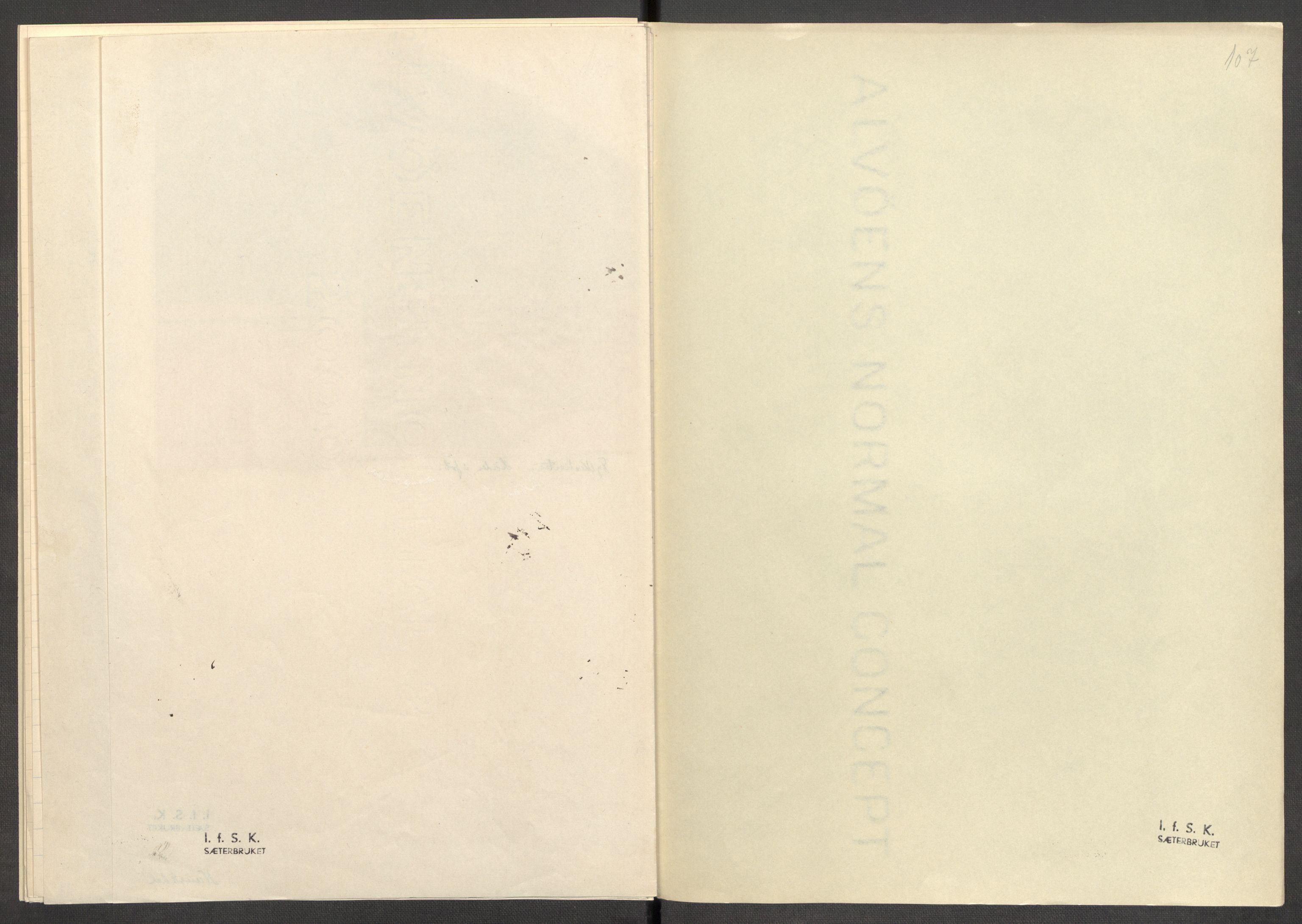 Instituttet for sammenlignende kulturforskning, AV/RA-PA-0424/F/Fc/L0011/0003: Eske B11: / Sogn og Fjordane (perm XXX), 1934-1936, p. 107