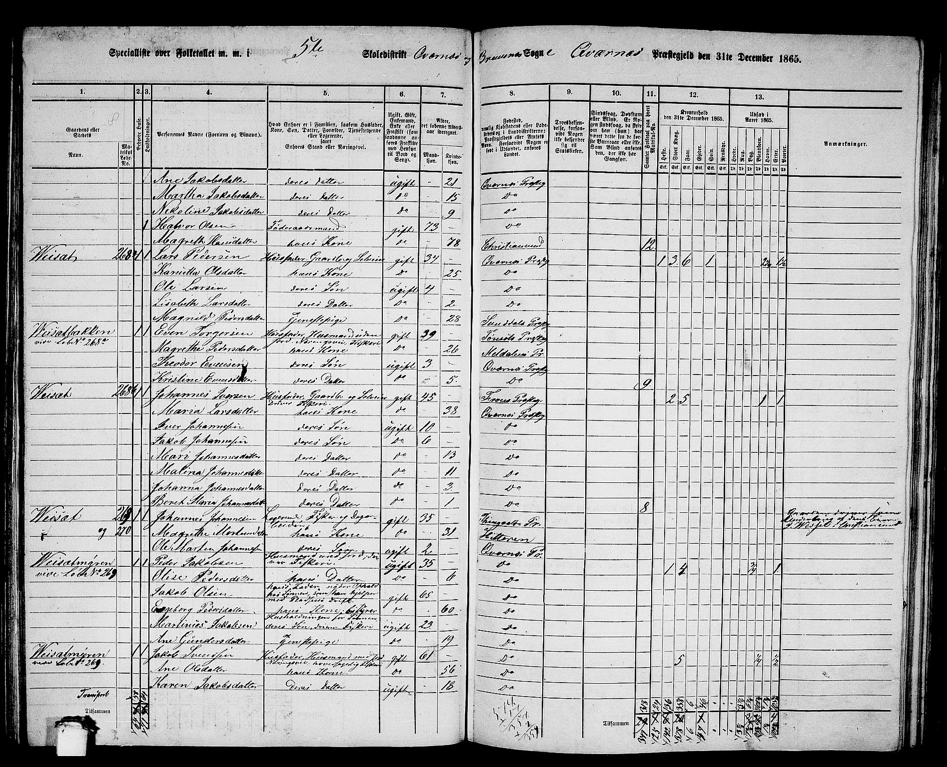 RA, 1865 census for Kvernes, 1865, p. 100