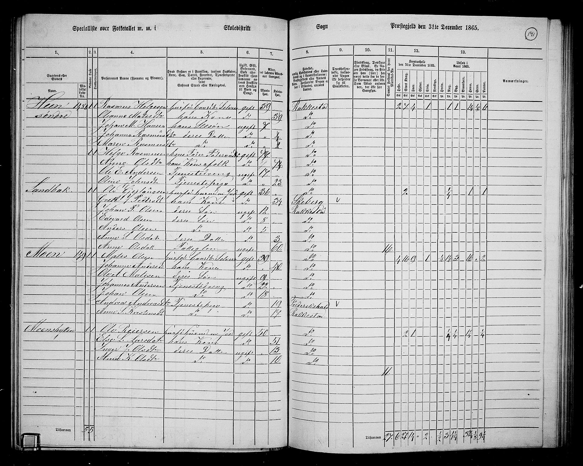 RA, 1865 census for Rakkestad, 1865, p. 163