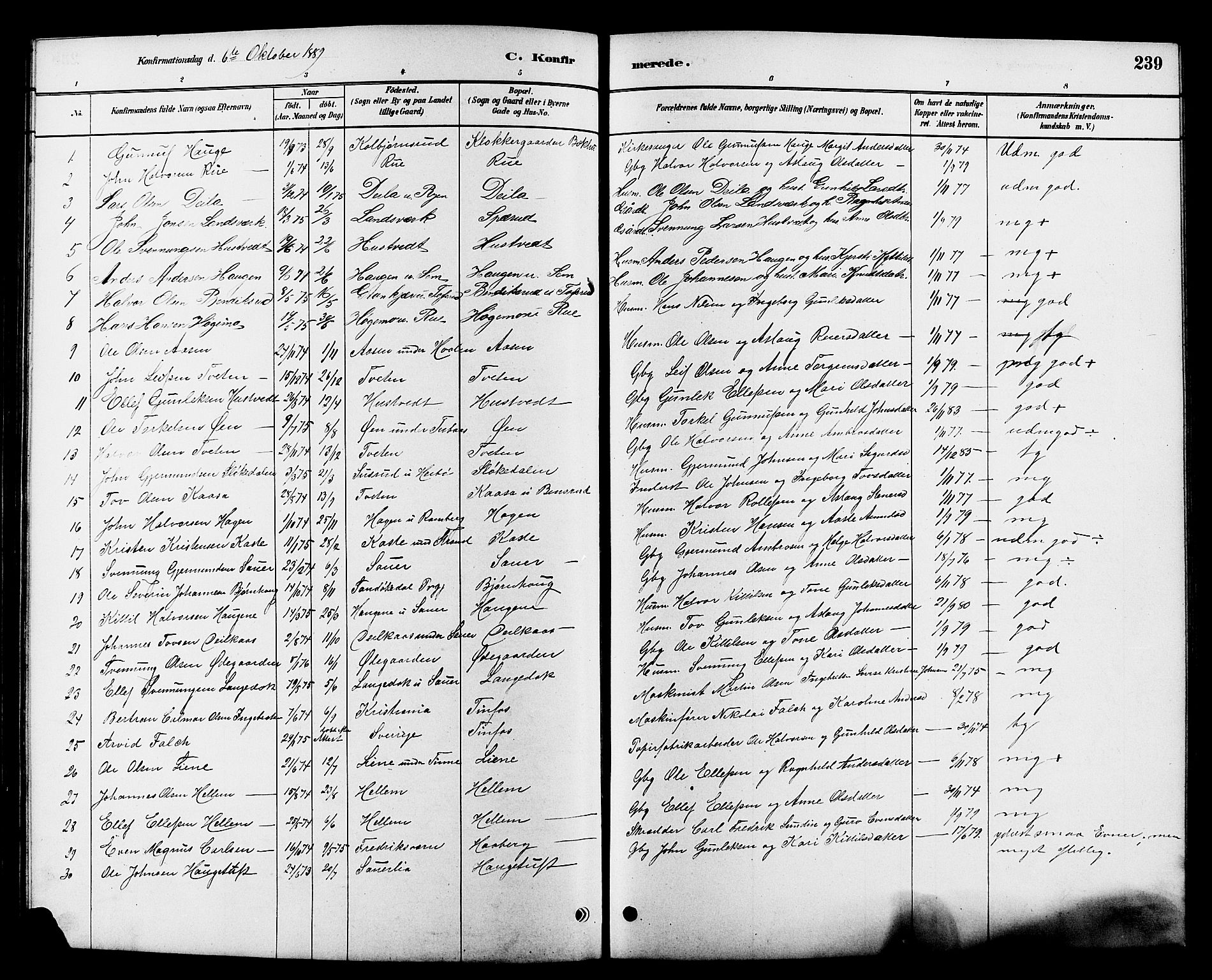 Heddal kirkebøker, SAKO/A-268/G/Ga/L0002: Parish register (copy) no. I 2, 1879-1908, p. 239