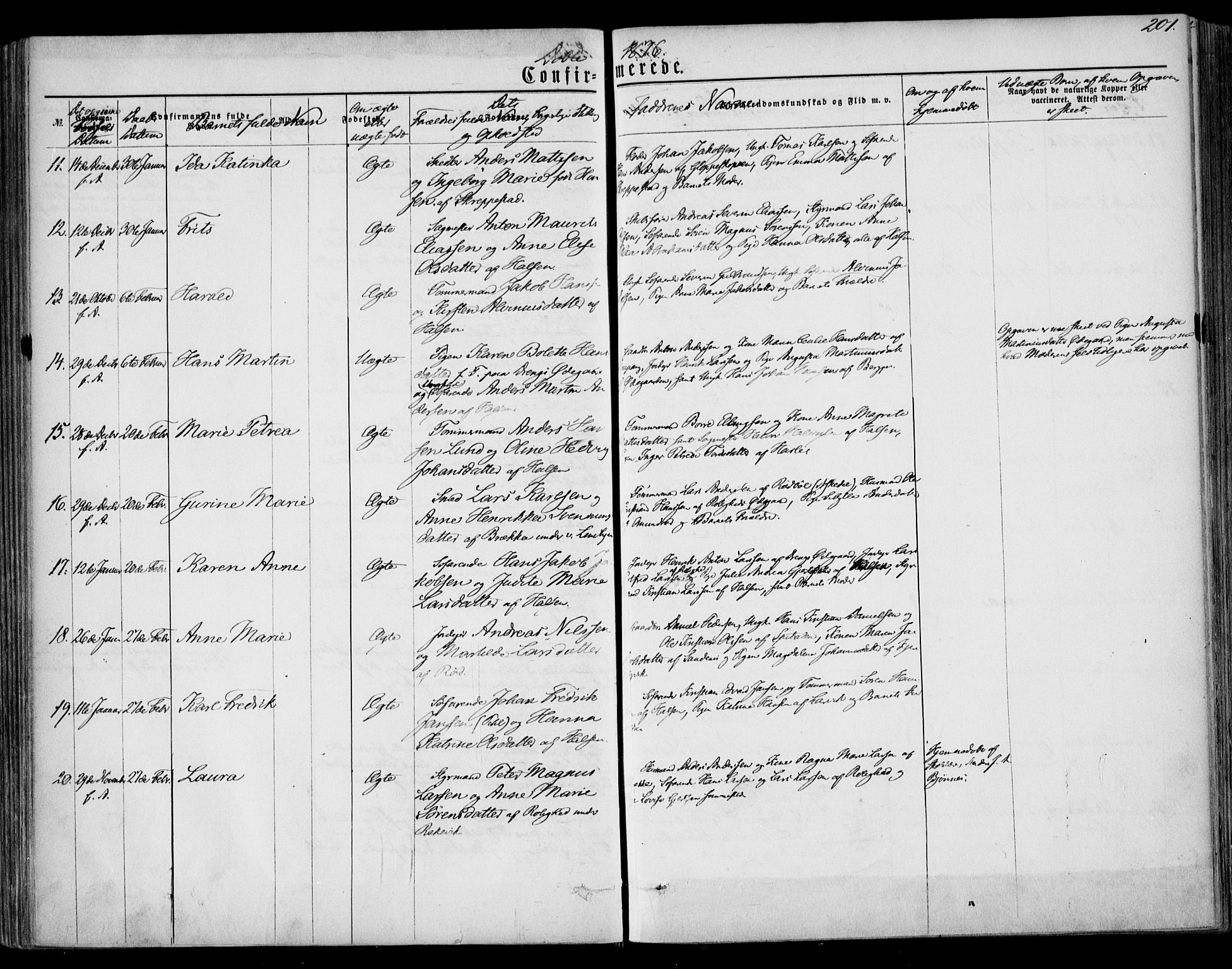 Tjølling kirkebøker, AV/SAKO-A-60/F/Fa/L0007: Parish register (official) no. 7, 1860-1876, p. 201