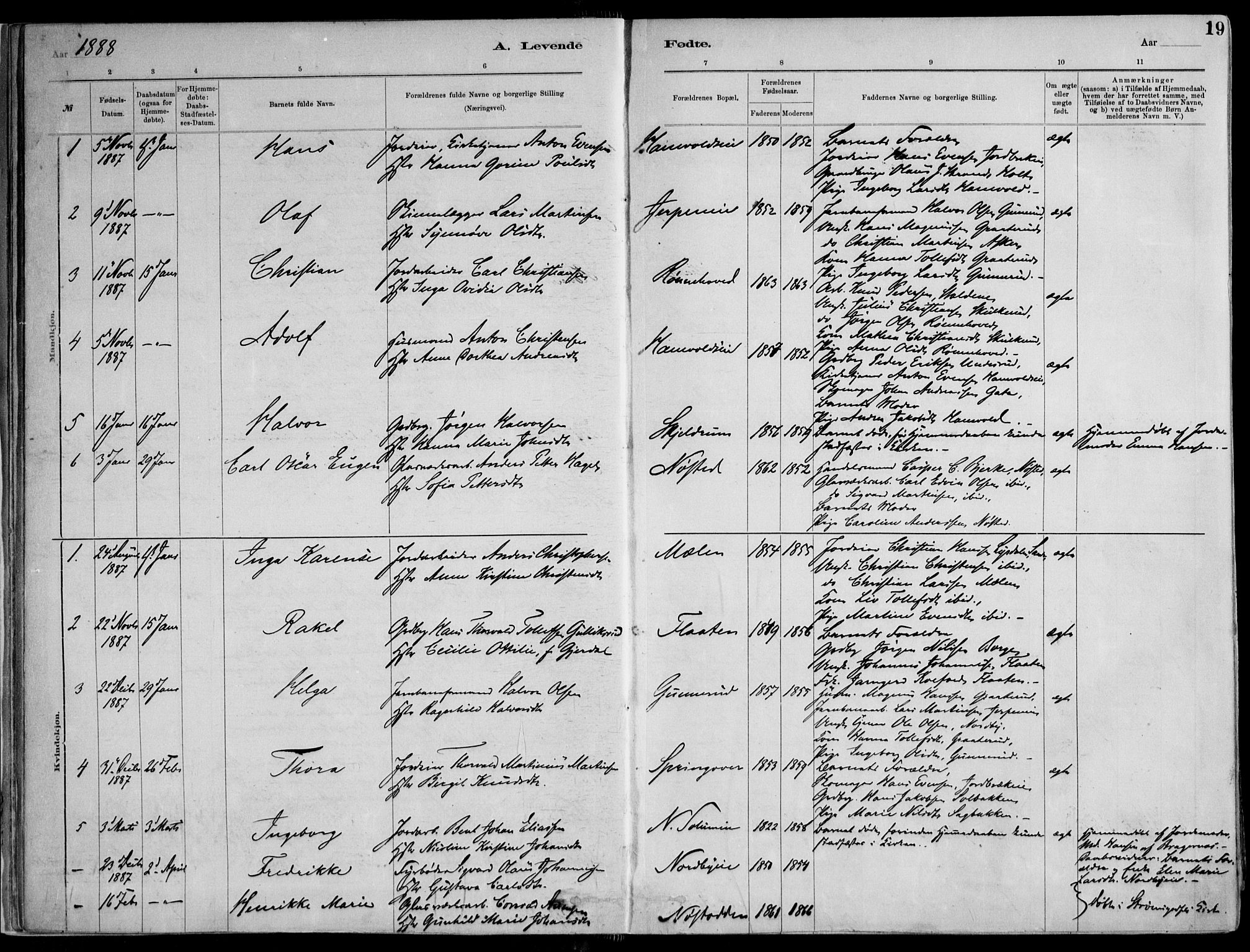 Skoger kirkebøker, AV/SAKO-A-59/F/Fa/L0006: Parish register (official) no. I 6, 1885-1910, p. 19