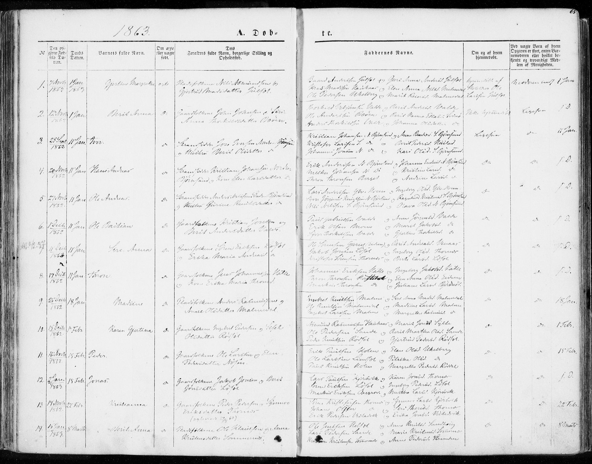 Ministerialprotokoller, klokkerbøker og fødselsregistre - Møre og Romsdal, SAT/A-1454/565/L0748: Parish register (official) no. 565A02, 1845-1872, p. 65