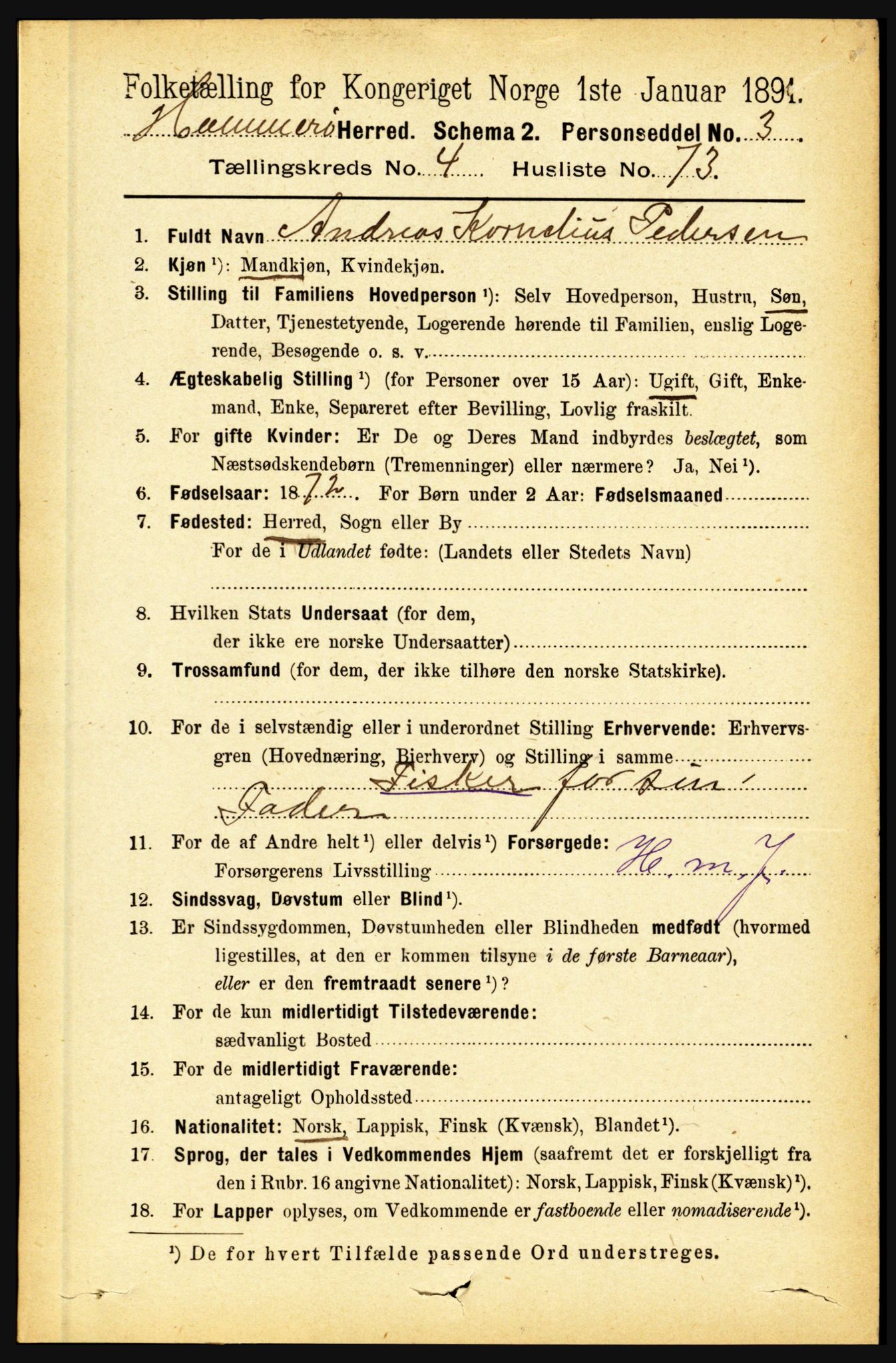 RA, 1891 census for 1849 Hamarøy, 1891, p. 2402