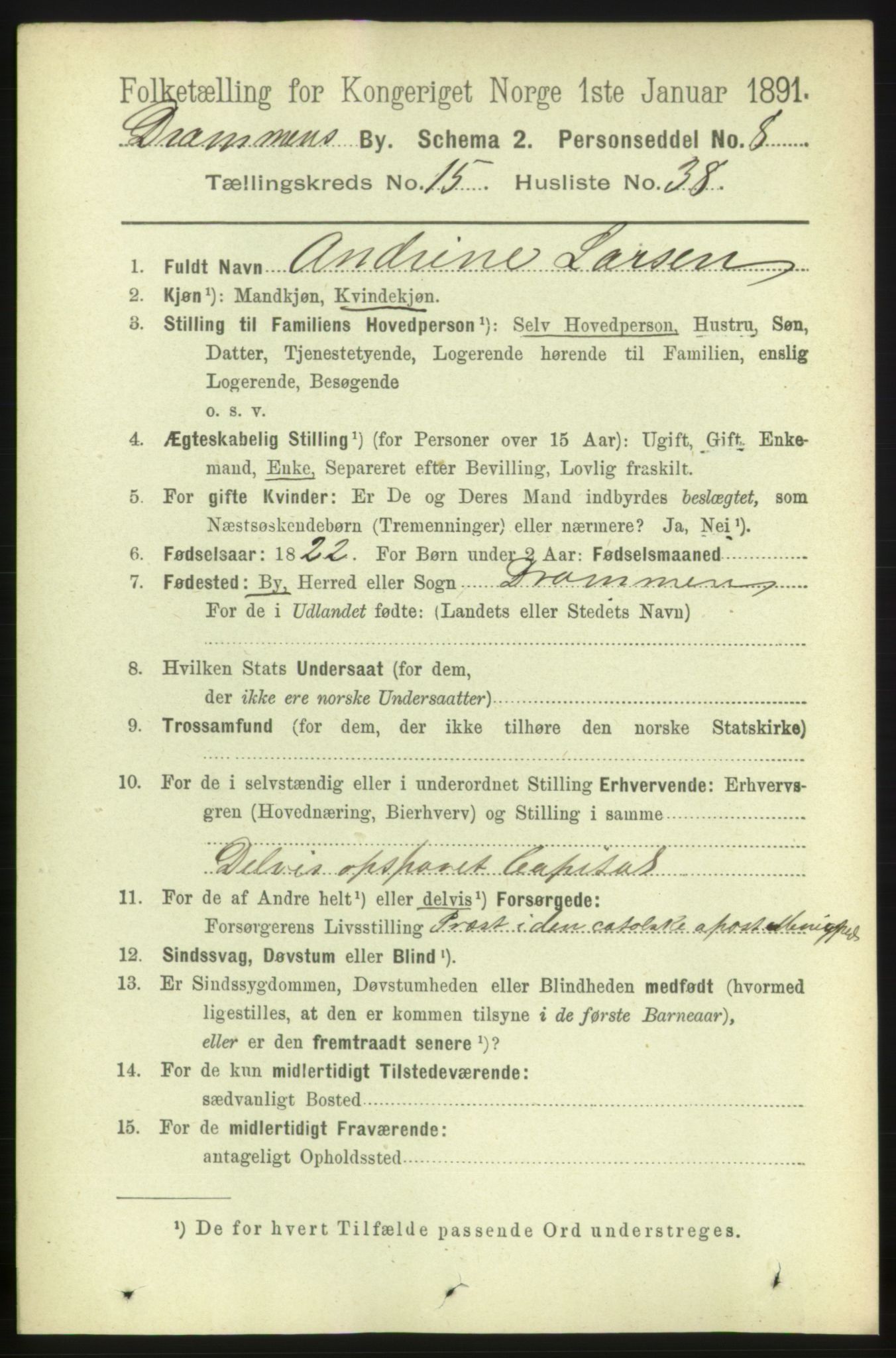 RA, 1891 census for 0602 Drammen, 1891, p. 10936