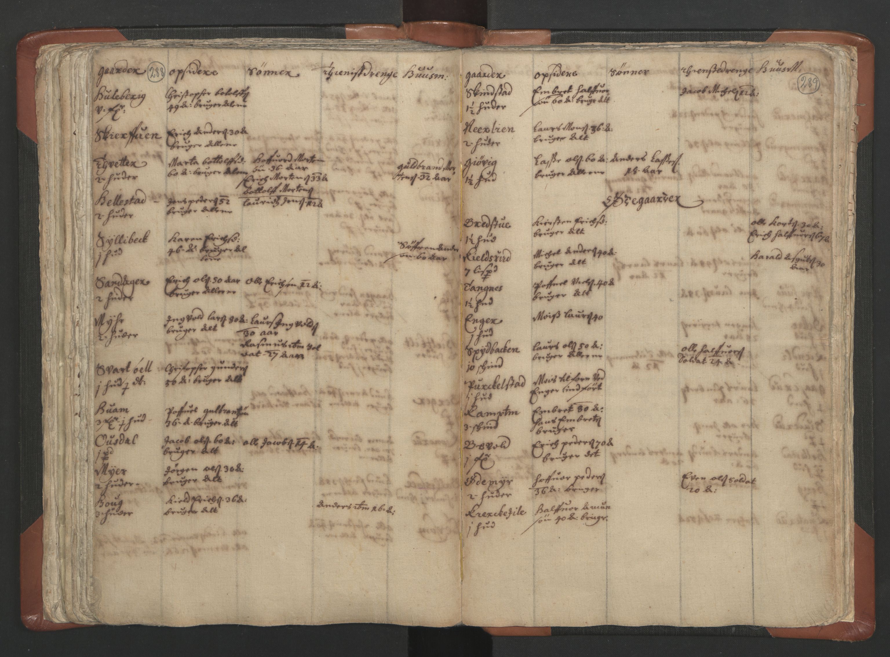 RA, Vicar's Census 1664-1666, no. 5: Hedmark deanery, 1664-1666, p. 288-289
