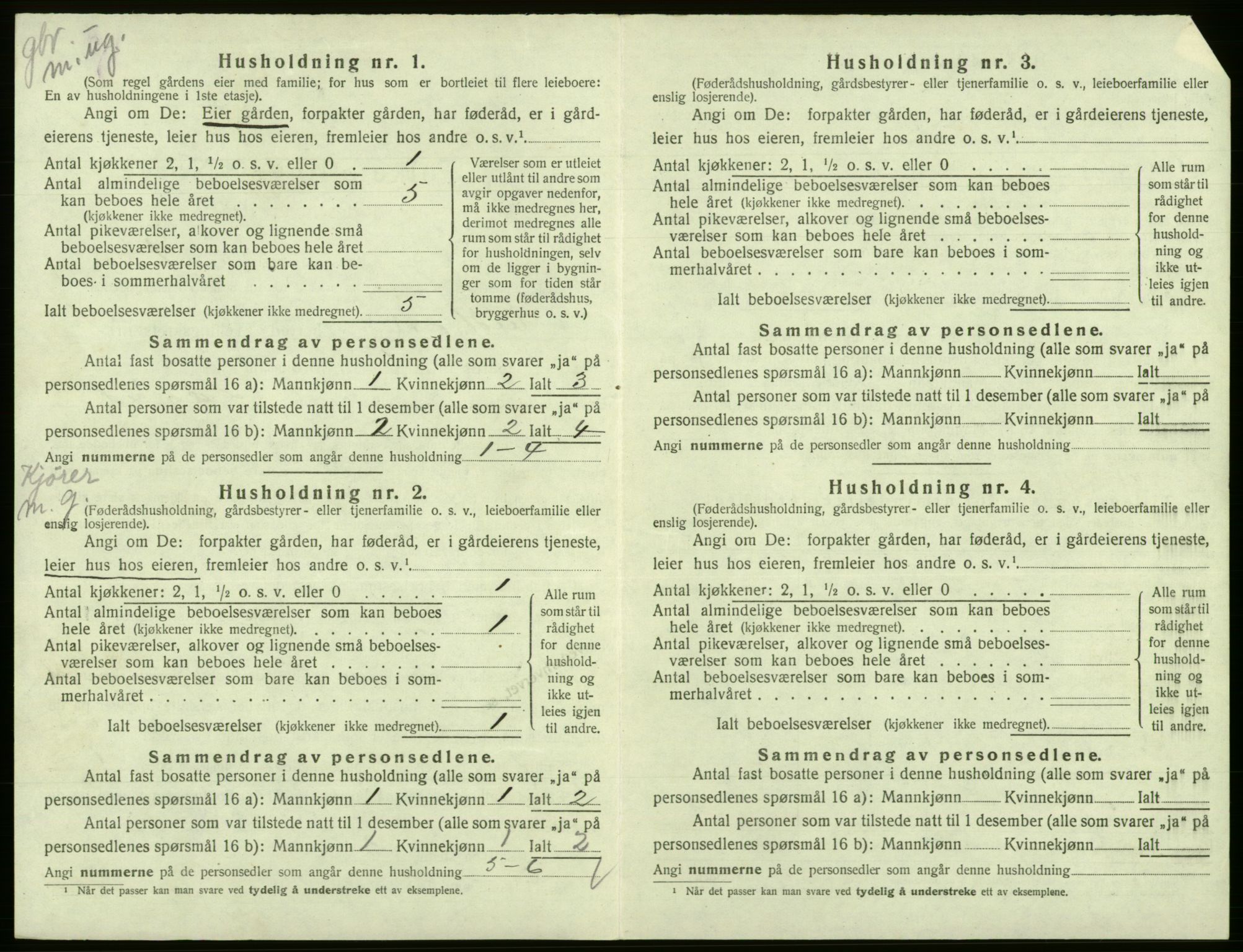 SAB, 1920 census for Eidfjord, 1920, p. 206