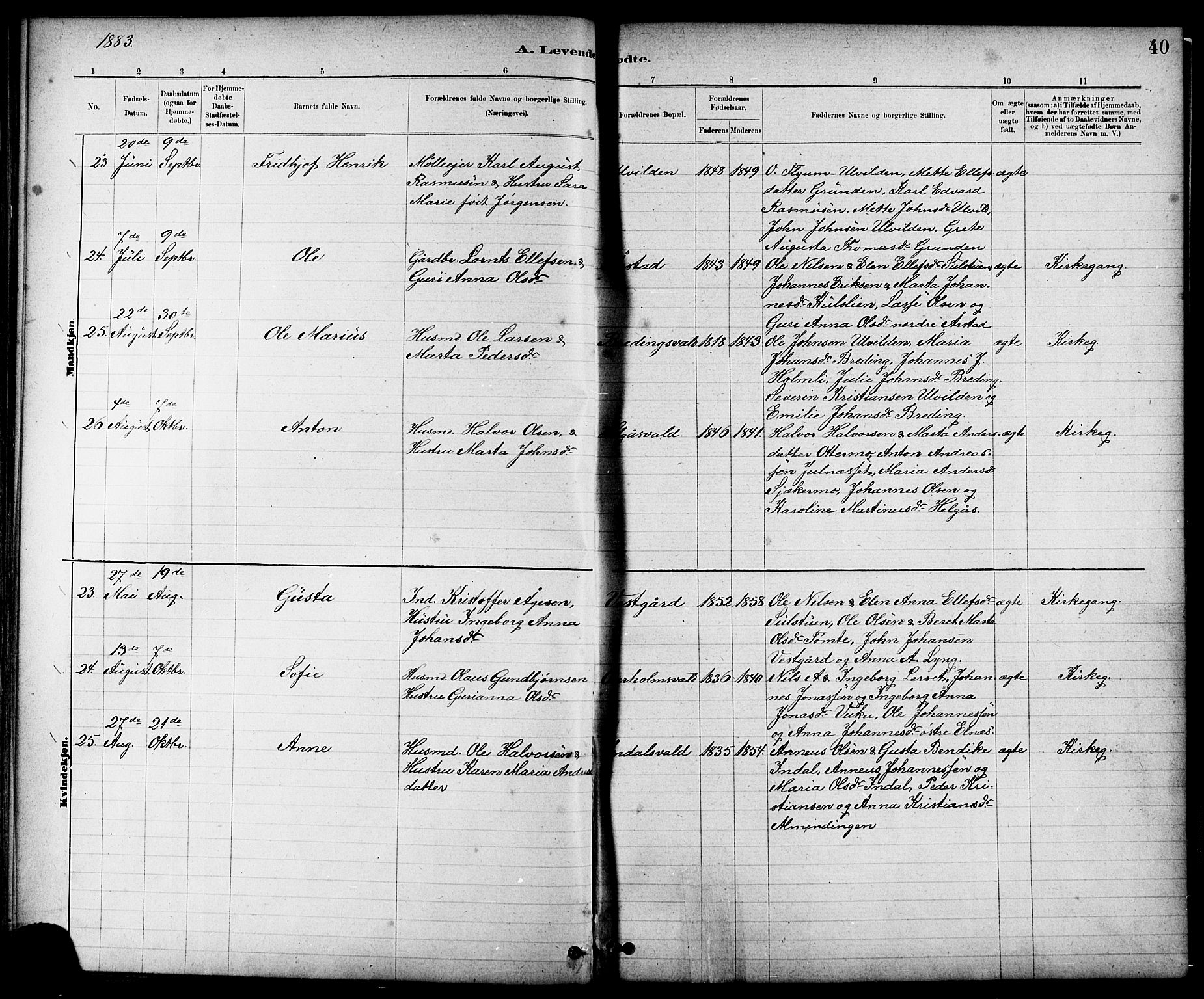 Ministerialprotokoller, klokkerbøker og fødselsregistre - Nord-Trøndelag, AV/SAT-A-1458/724/L0267: Parish register (copy) no. 724C03, 1879-1898, p. 40