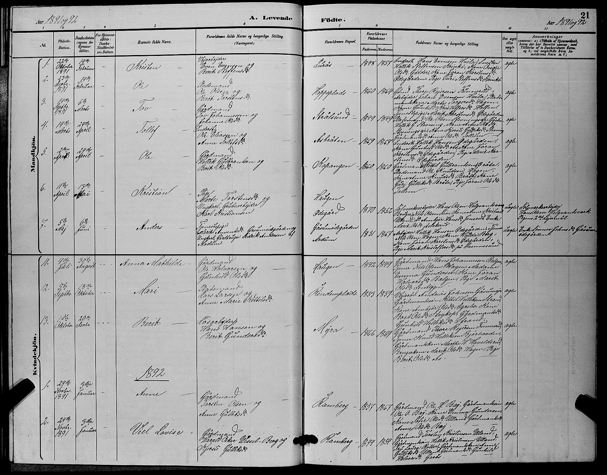 Flesberg kirkebøker, SAKO/A-18/G/Ga/L0004: Parish register (copy) no. I 4 /2, 1890-1898, p. 21
