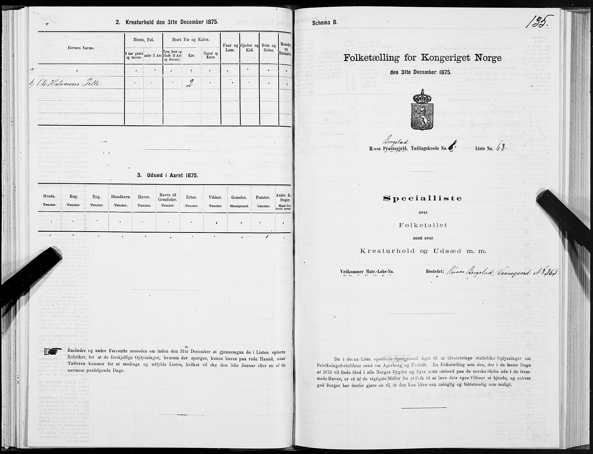 SAT, 1875 census for 1640P Røros, 1875, p. 1135