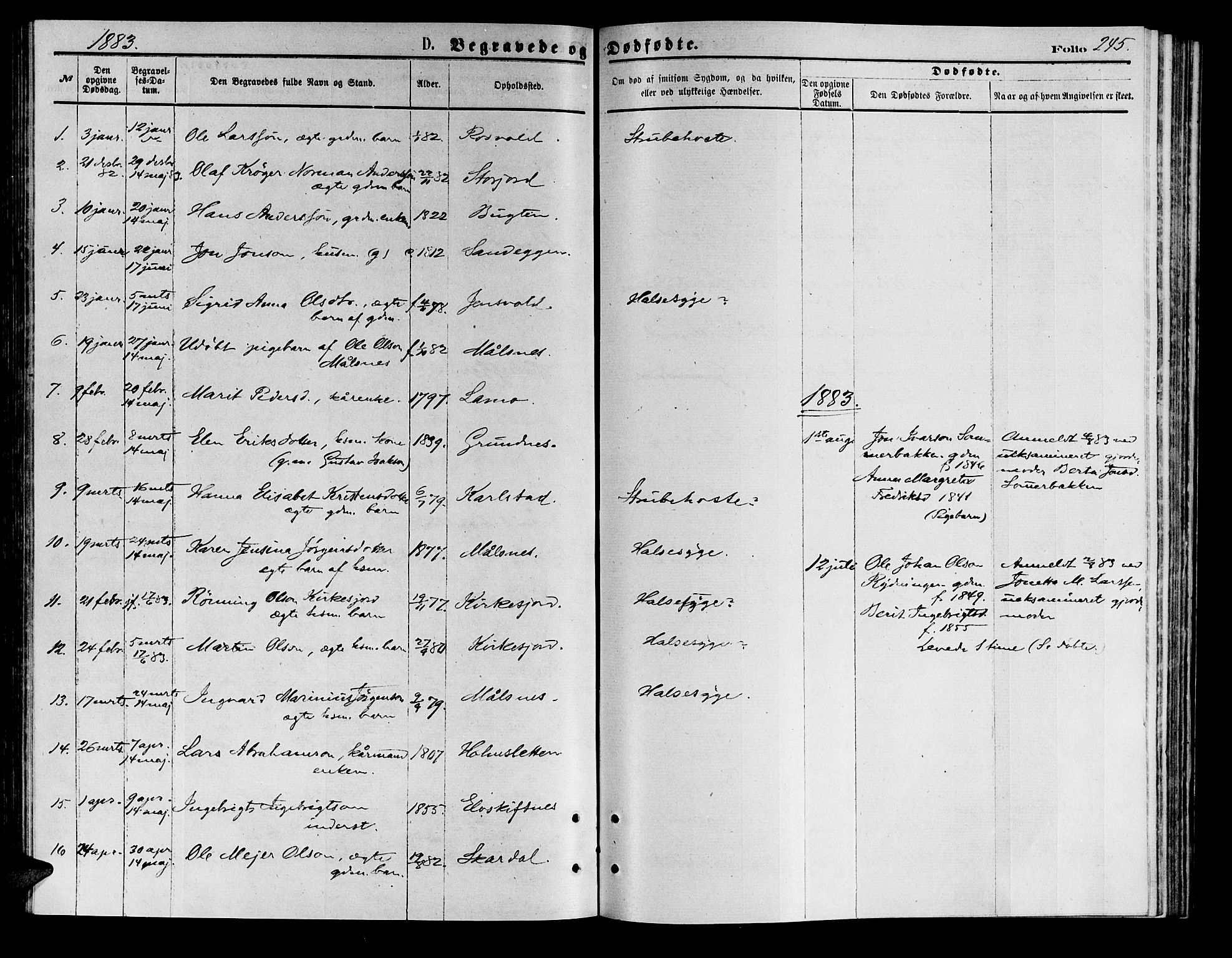 Målselv sokneprestembete, SATØ/S-1311/G/Ga/Gab/L0003klokker: Parish register (copy) no. 3, 1874-1885, p. 245