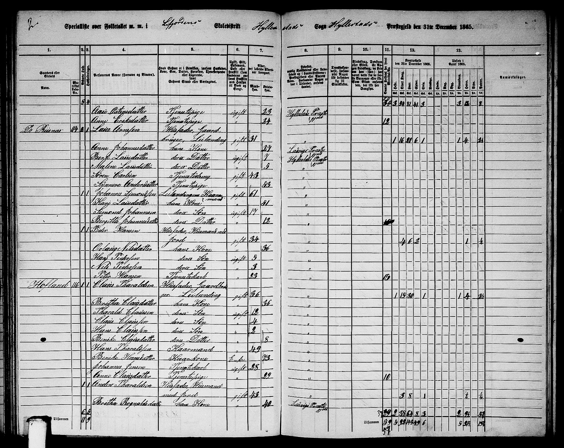 RA, 1865 census for Hyllestad, 1865, p. 96