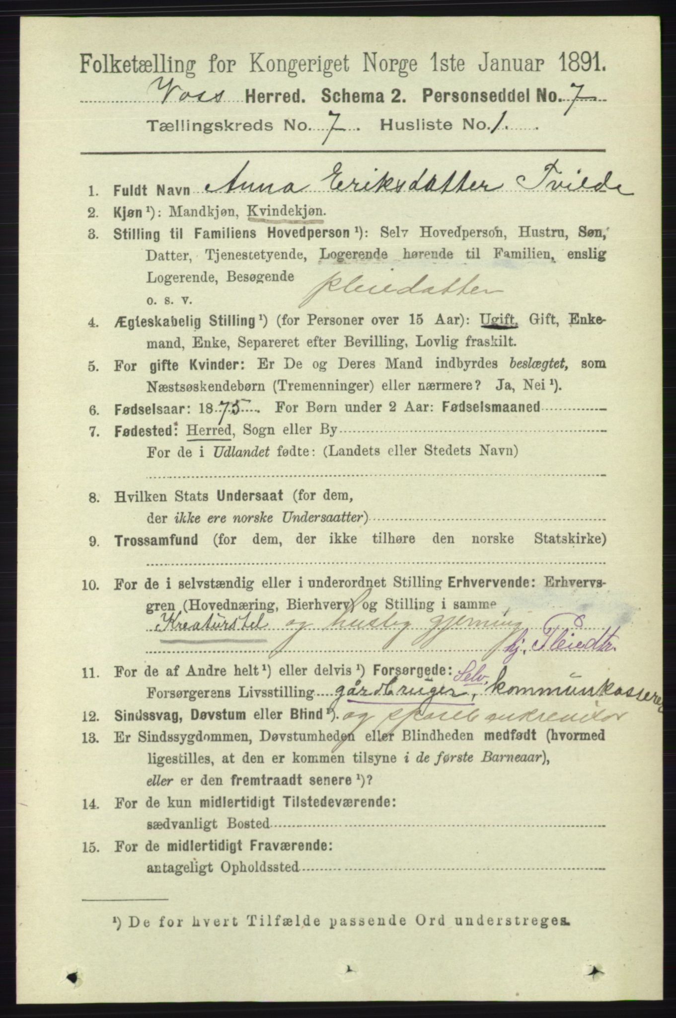 RA, 1891 census for 1235 Voss, 1891, p. 3800