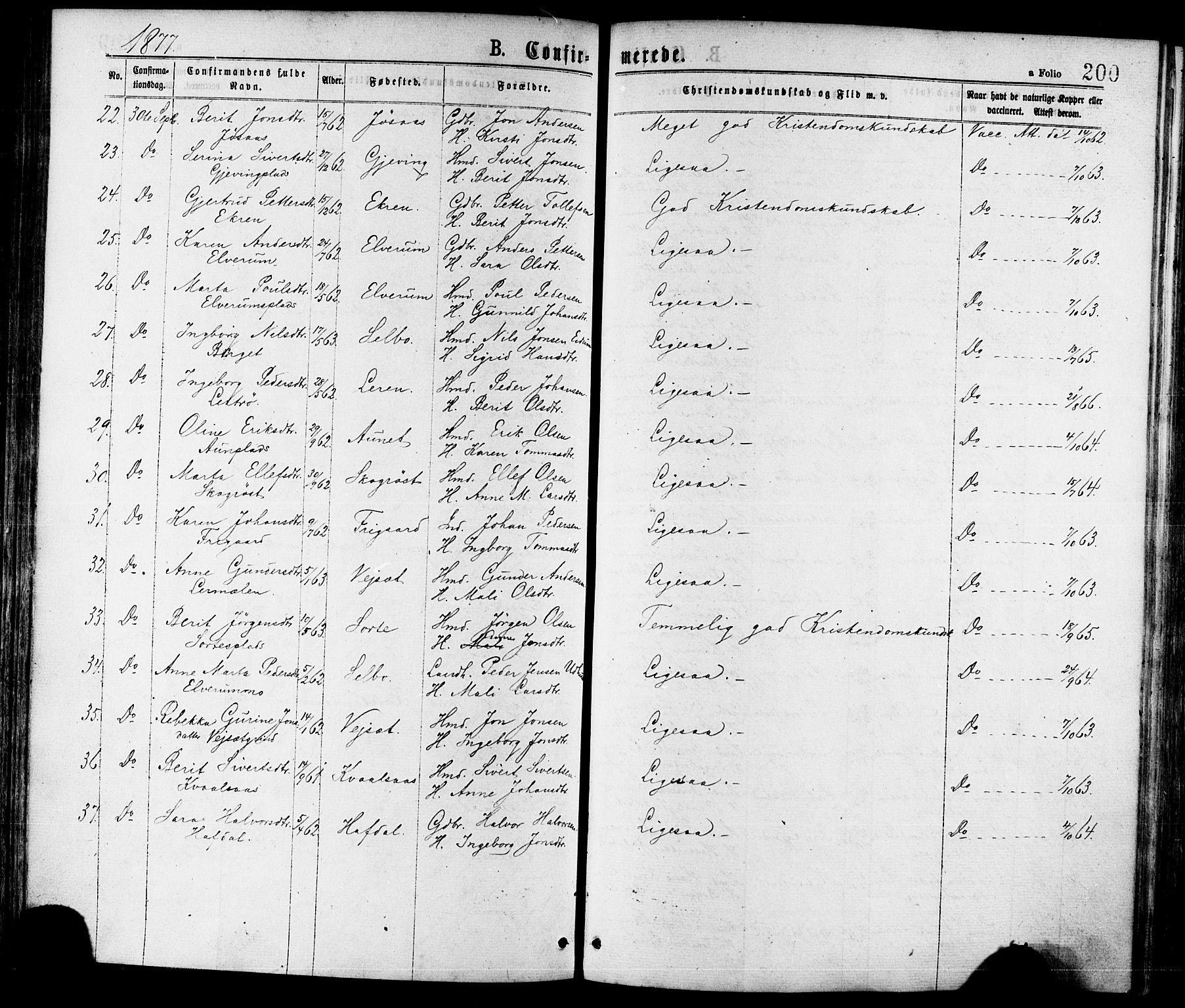 Ministerialprotokoller, klokkerbøker og fødselsregistre - Nord-Trøndelag, AV/SAT-A-1458/709/L0076: Parish register (official) no. 709A16, 1871-1879, p. 200