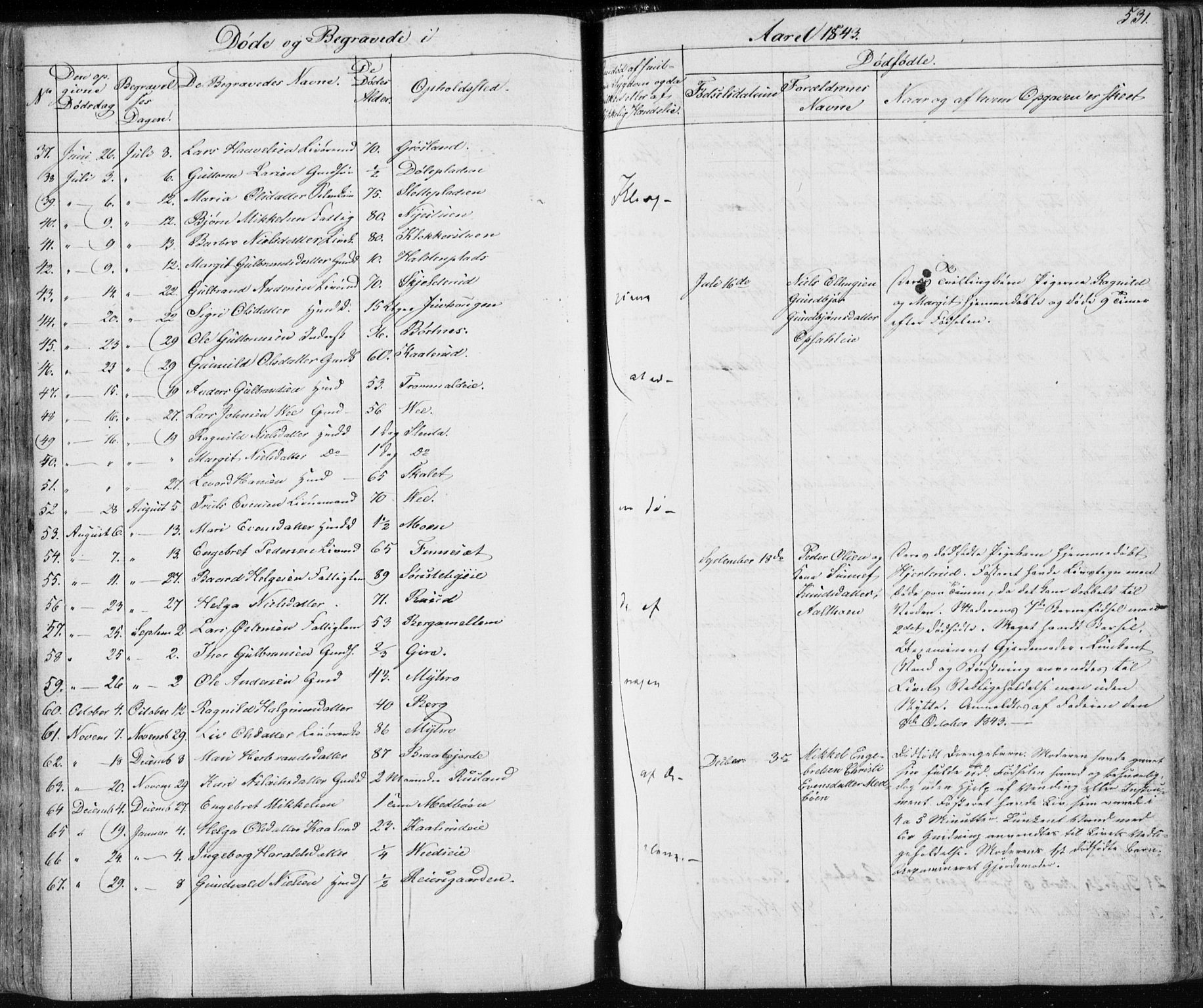 Nes kirkebøker, AV/SAKO-A-236/F/Fa/L0009: Parish register (official) no. 9, 1834-1863, p. 531