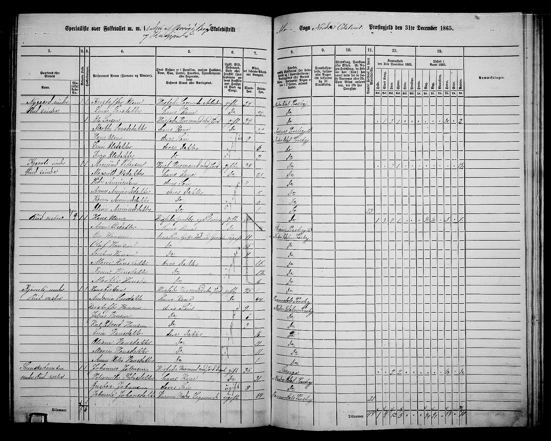 RA, 1865 census for Nord-Odal, 1865, p. 134