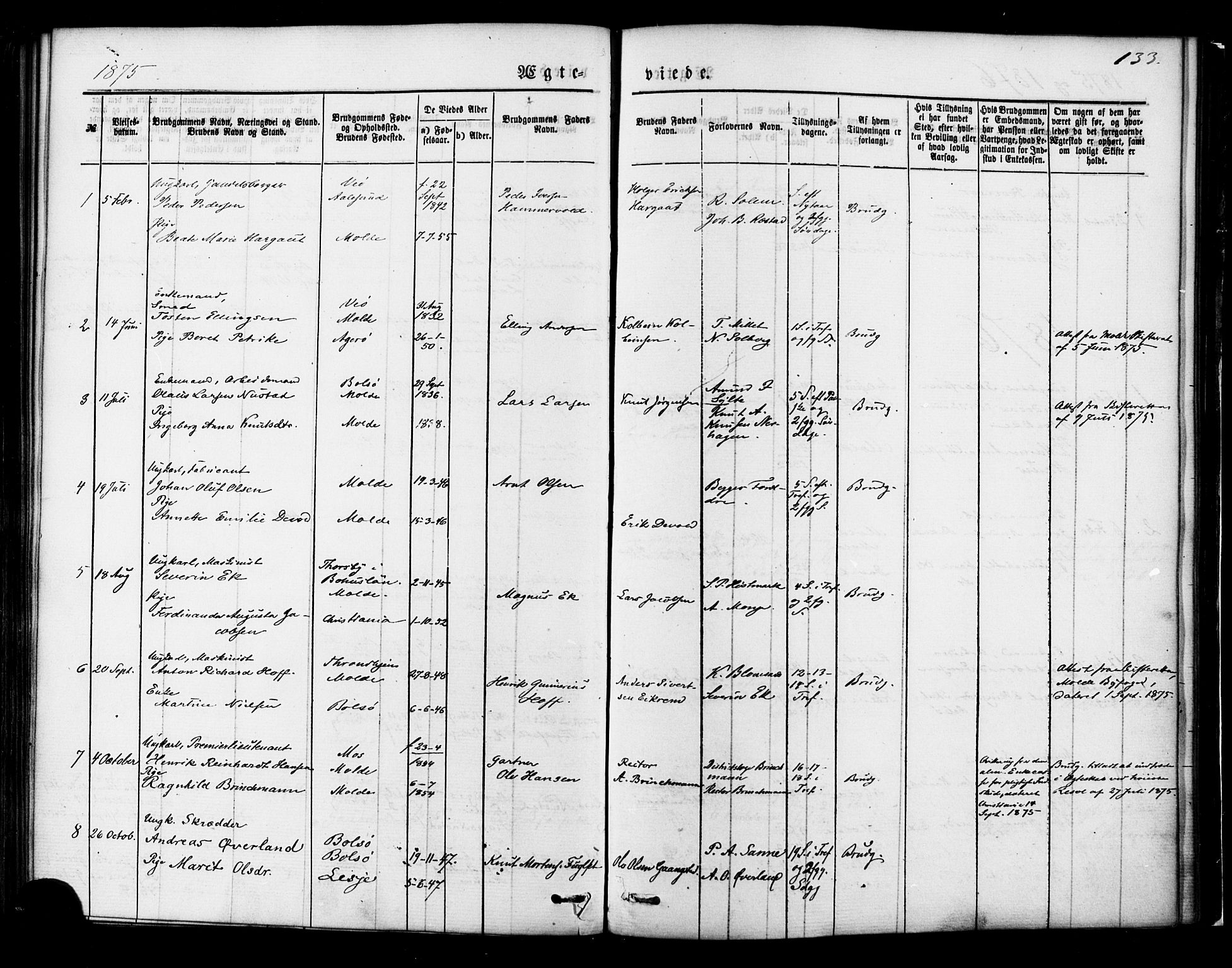 Ministerialprotokoller, klokkerbøker og fødselsregistre - Møre og Romsdal, SAT/A-1454/558/L0691: Parish register (official) no. 558A05, 1873-1886, p. 133