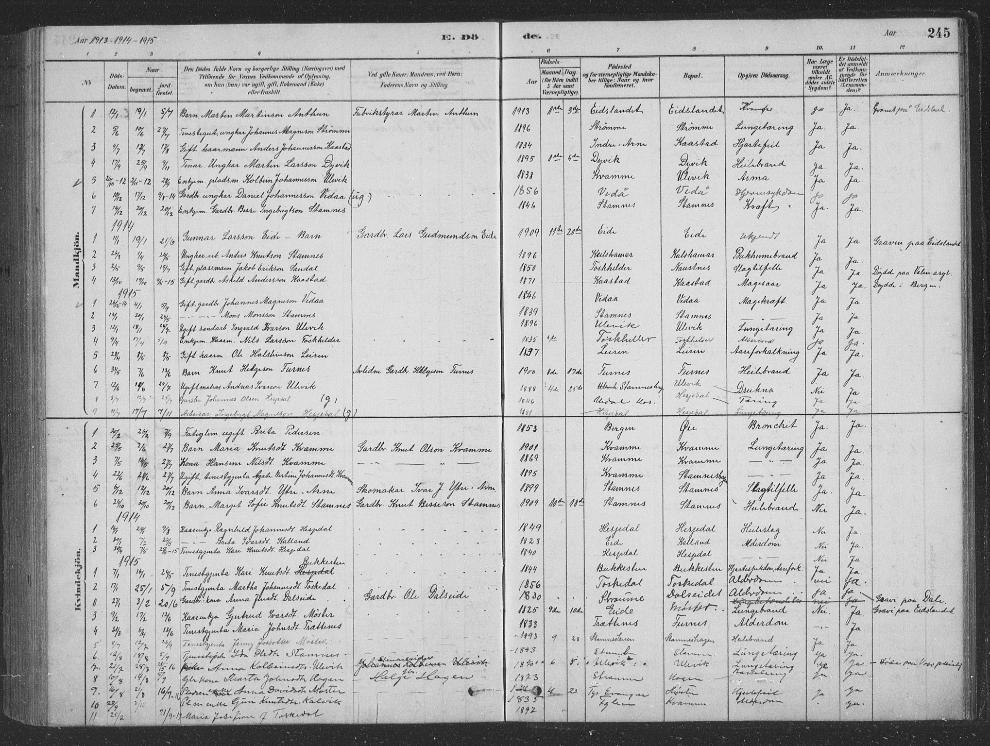 Vaksdal Sokneprestembete, AV/SAB-A-78901/H/Hab: Parish register (copy) no. D 1, 1878-1939, p. 245