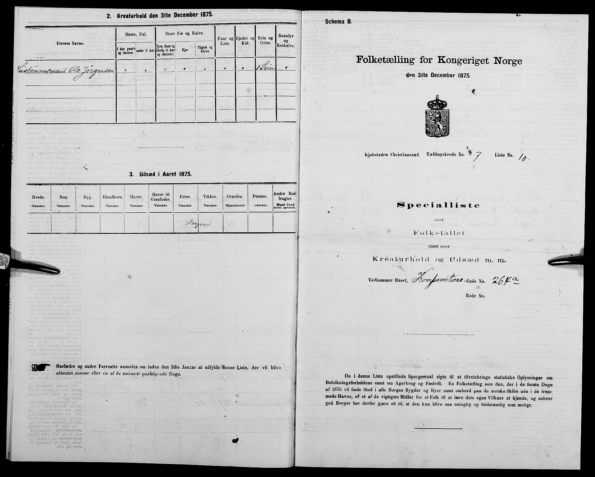 SAK, 1875 census for 1001P Kristiansand, 1875, p. 1007