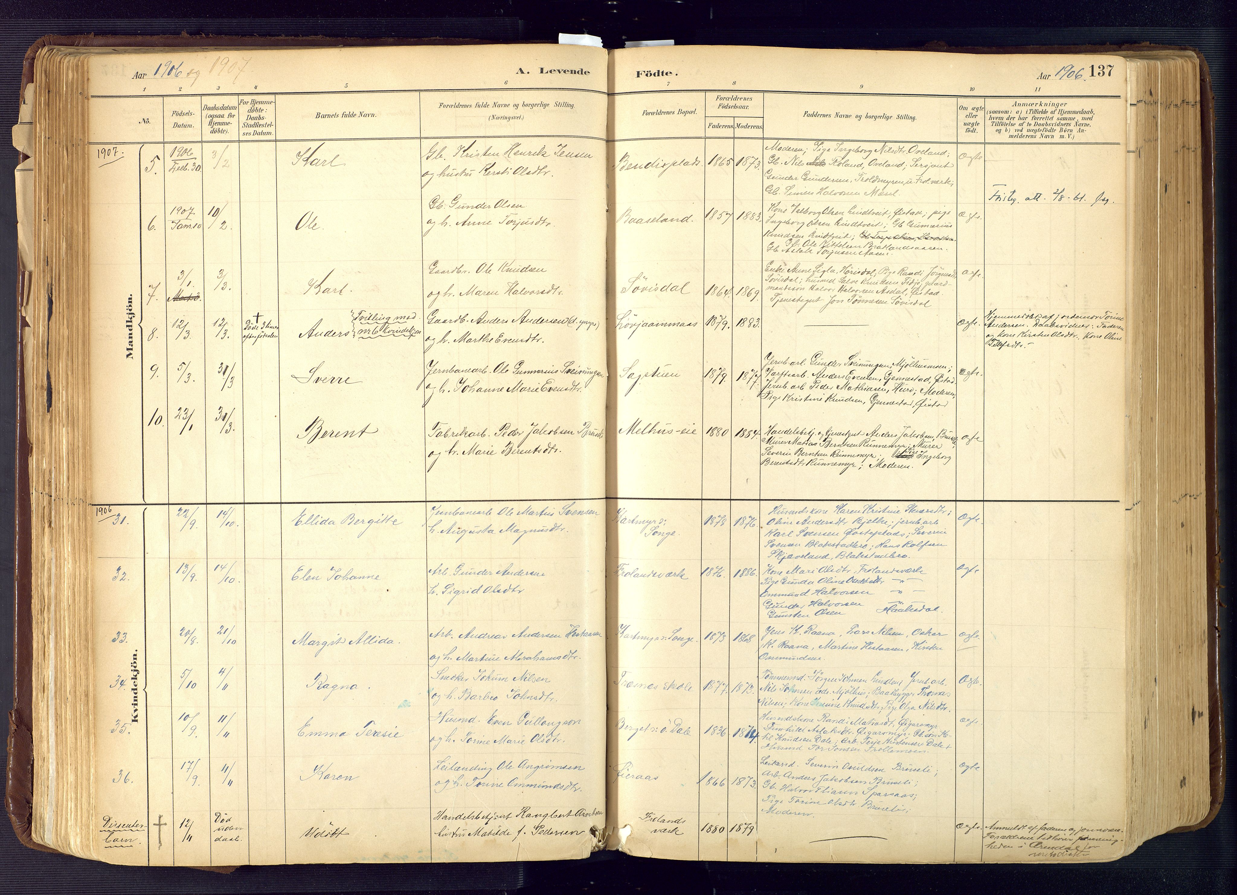 Froland sokneprestkontor, SAK/1111-0013/F/Fa/L0005: Parish register (official) no. A 5, 1882-1921, p. 137