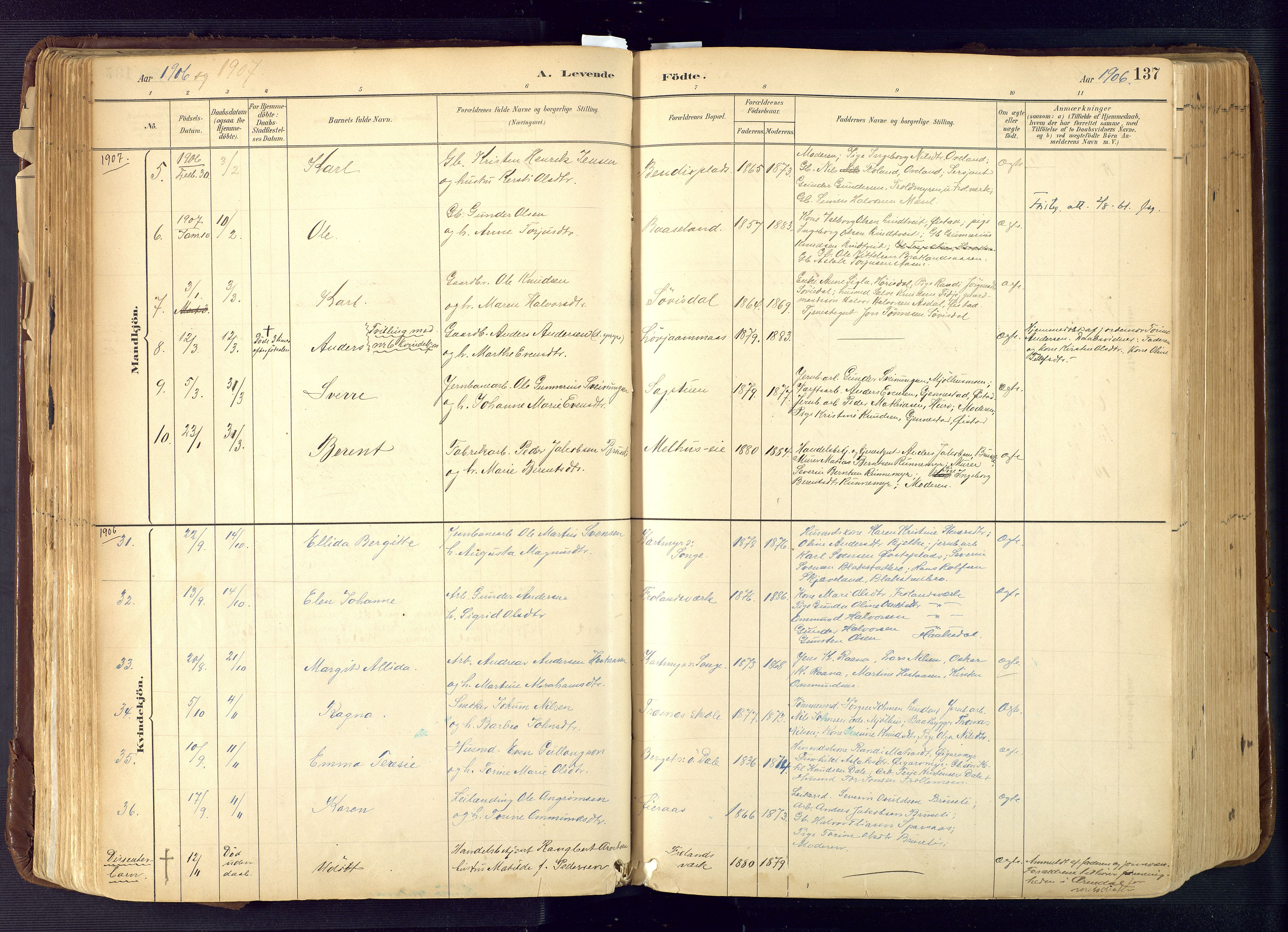 Froland sokneprestkontor, AV/SAK-1111-0013/F/Fa/L0005: Parish register (official) no. A 5, 1882-1921, p. 137