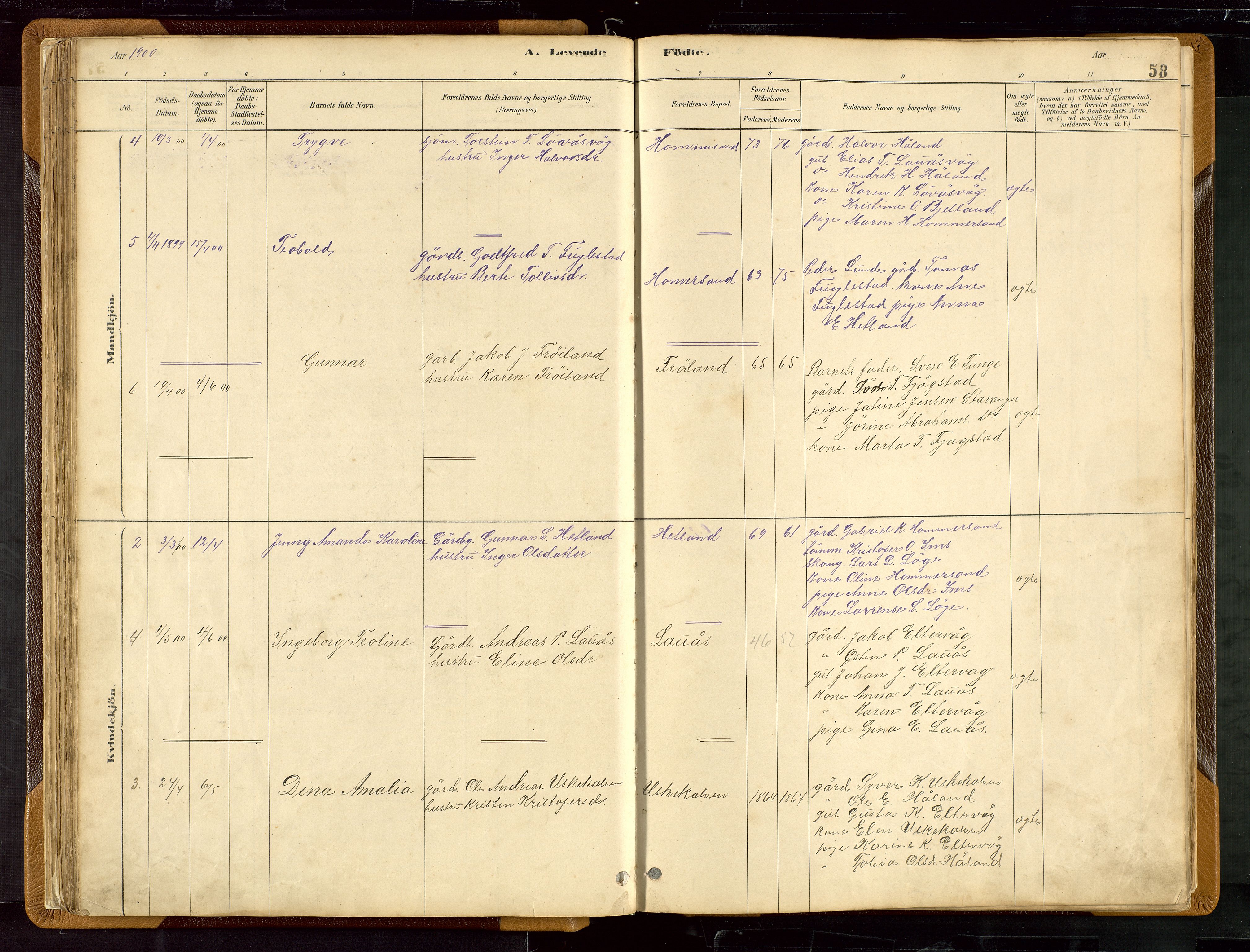 Hetland sokneprestkontor, AV/SAST-A-101826/30/30BB/L0007: Parish register (copy) no. B 7, 1878-1910, p. 58