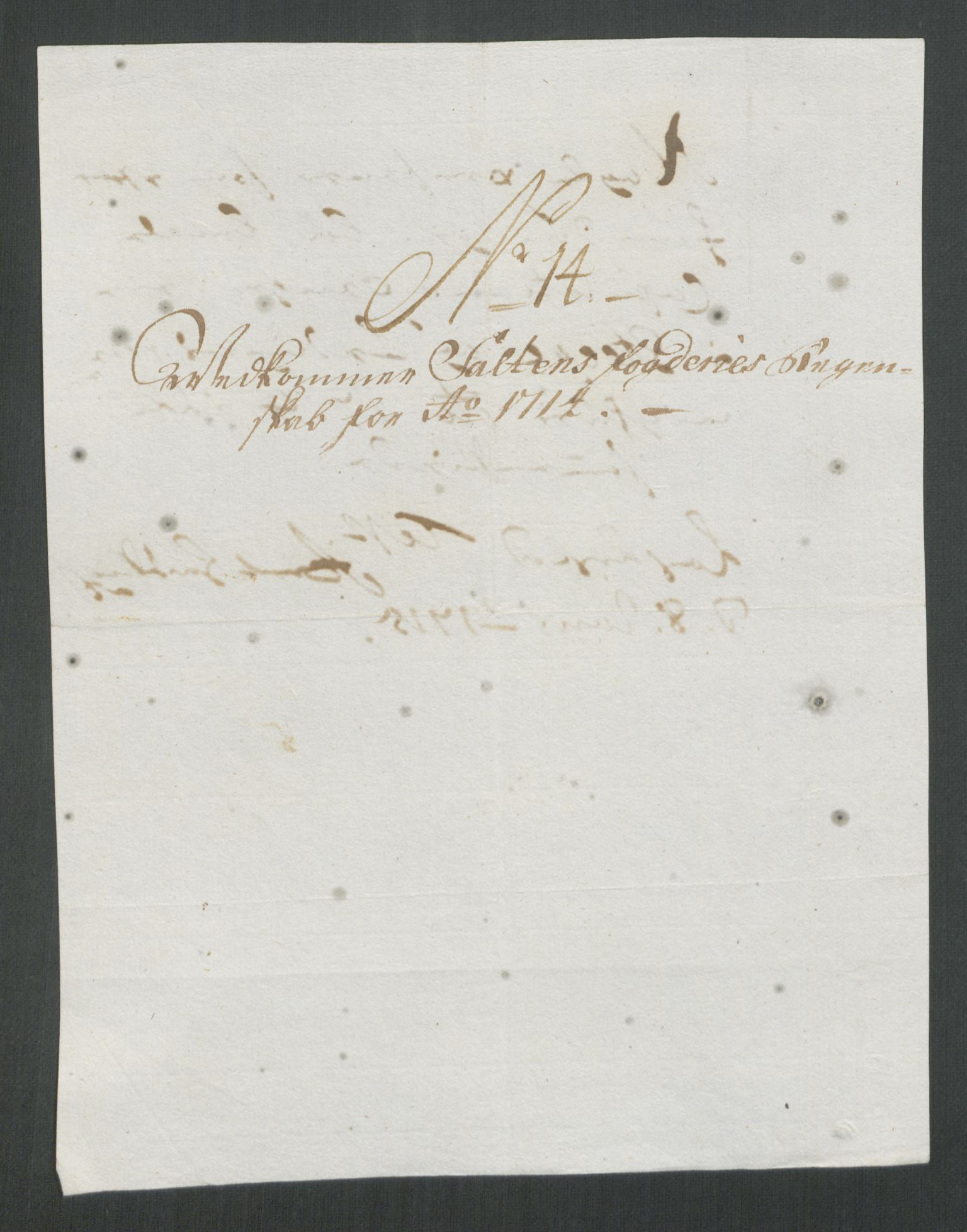 Rentekammeret inntil 1814, Reviderte regnskaper, Fogderegnskap, RA/EA-4092/R66/L4584: Fogderegnskap Salten, 1714, p. 113