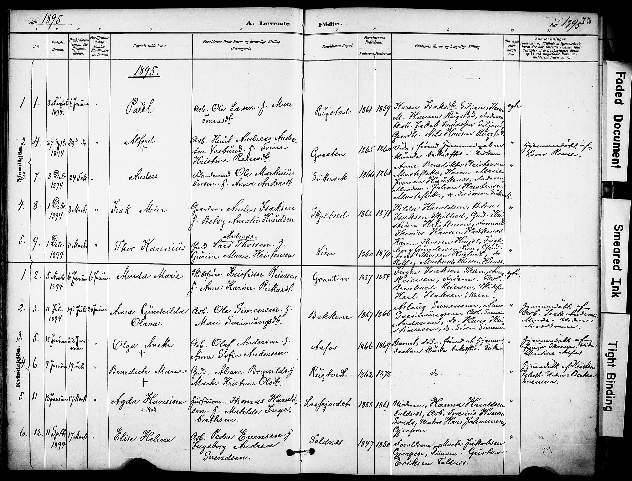 Solum kirkebøker, AV/SAKO-A-306/F/Fa/L0010: Parish register (official) no. I 10, 1888-1898, p. 75