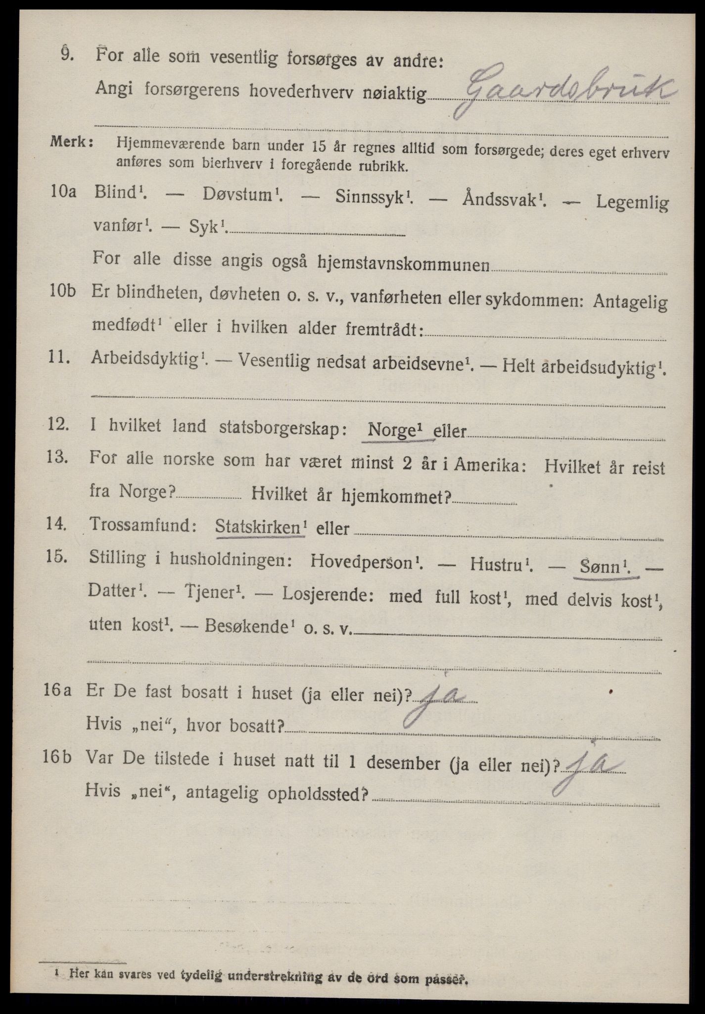 SAT, 1920 census for Borgund, 1920, p. 11229