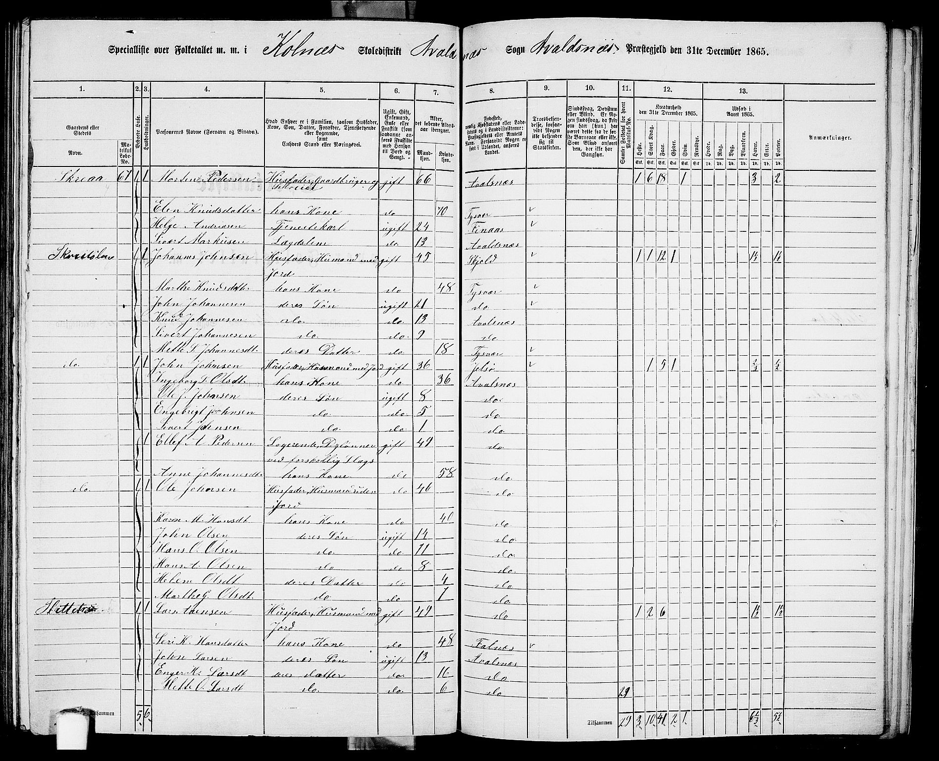 RA, 1865 census for Avaldsnes, 1865, p. 204